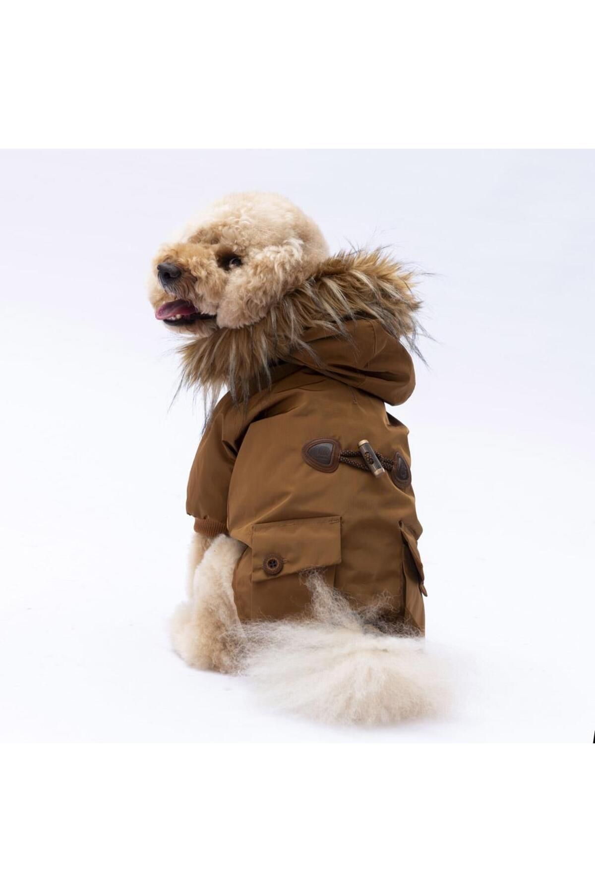 Pawstar Camel Charles Köpek Mont Köpek Yağmurluk Köpek Kıyafeti Köpek Elbisesi