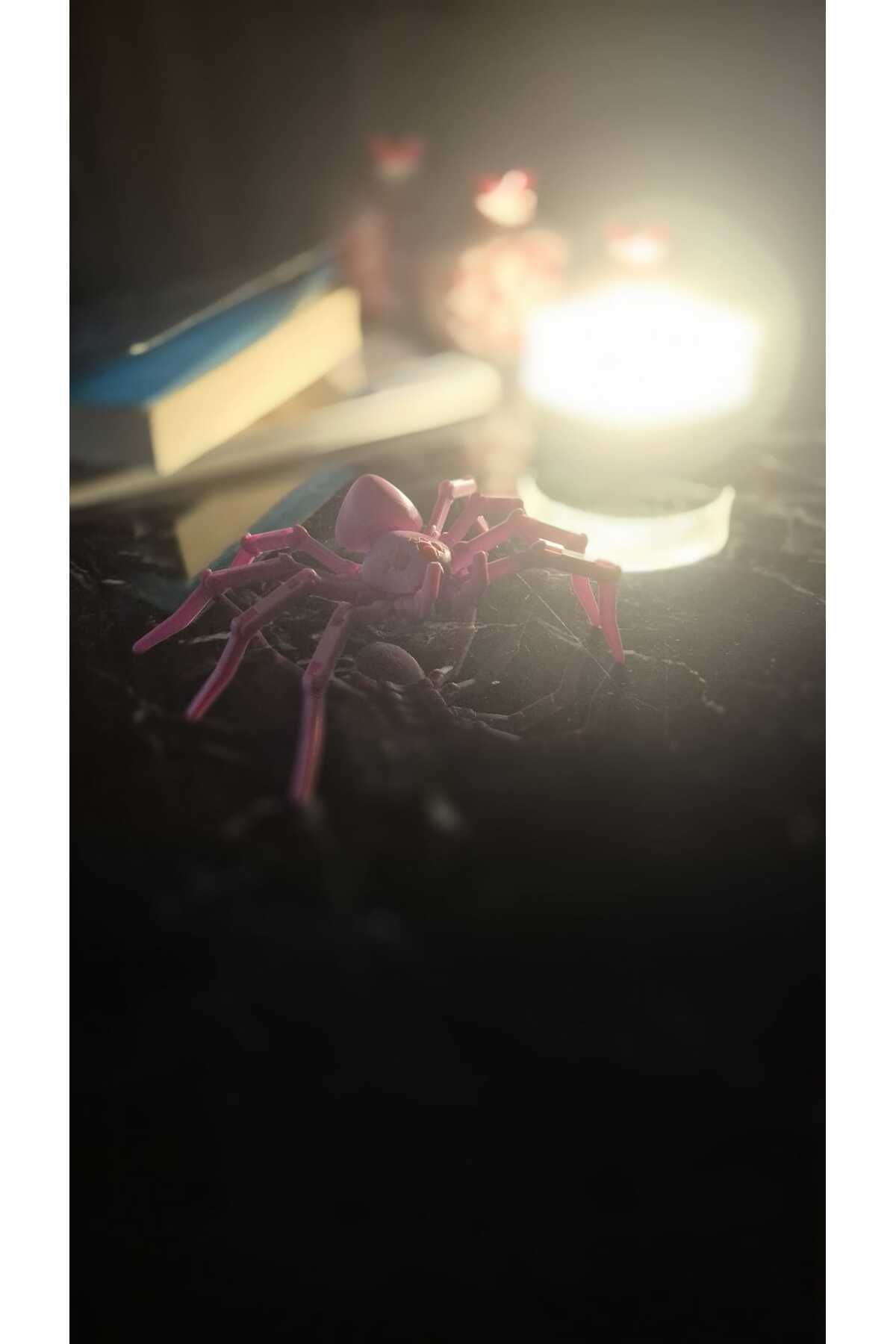 تصویر محصول