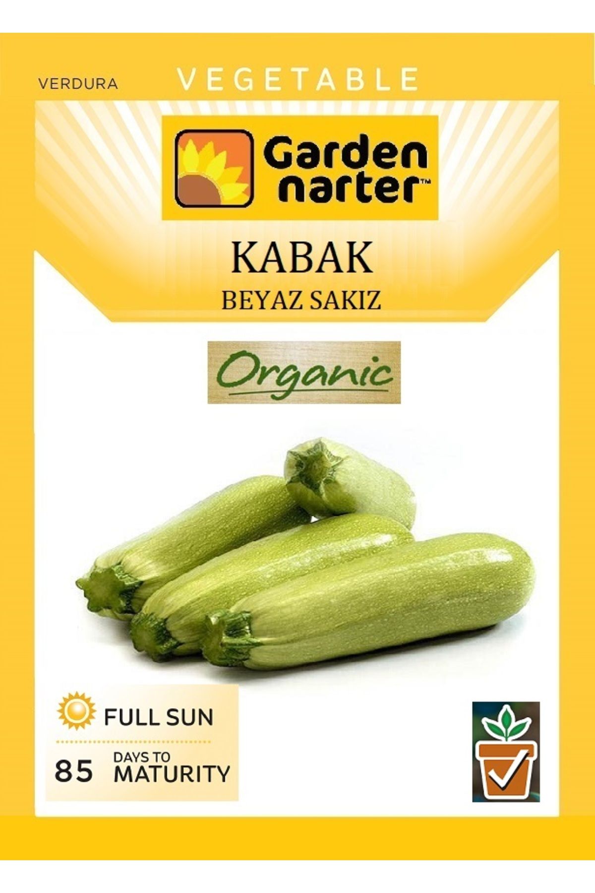 GARDEN NARTER Beyaz Kabak Tohumu Doğal Organik Sakız Kabak Tohumu Pakette 10 Gr 50 Tohum
