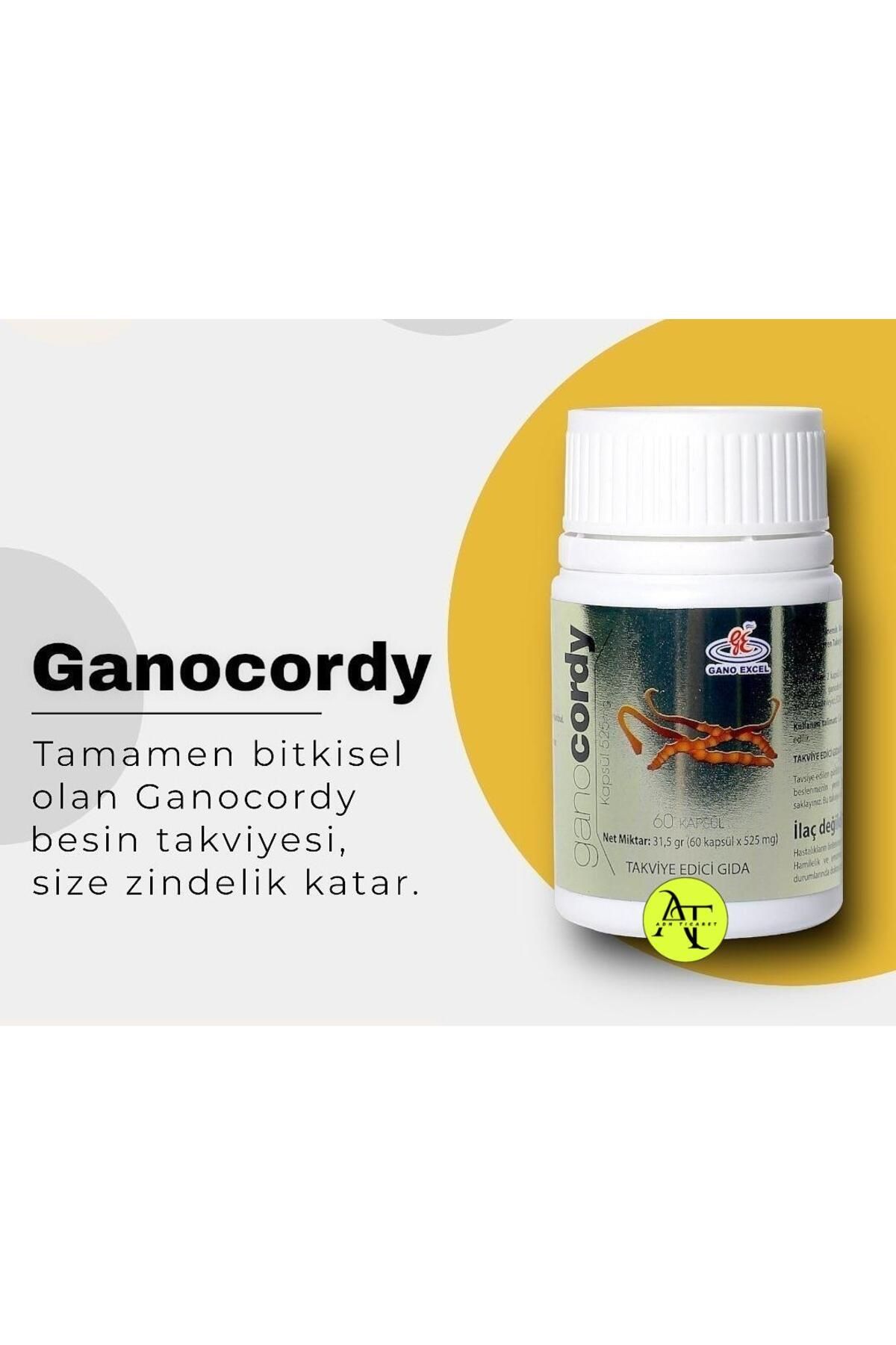 GanoExcel Gano Cordy