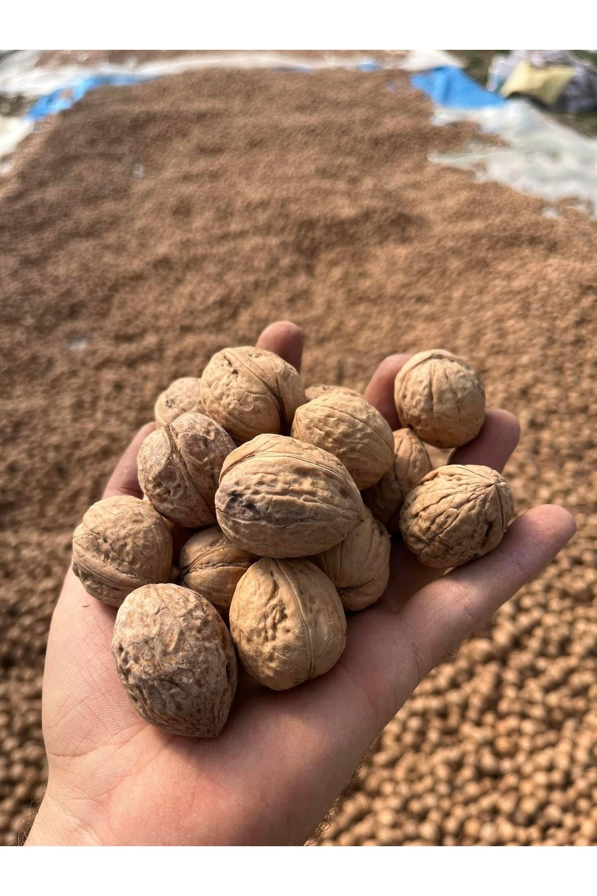 تصویر محصول