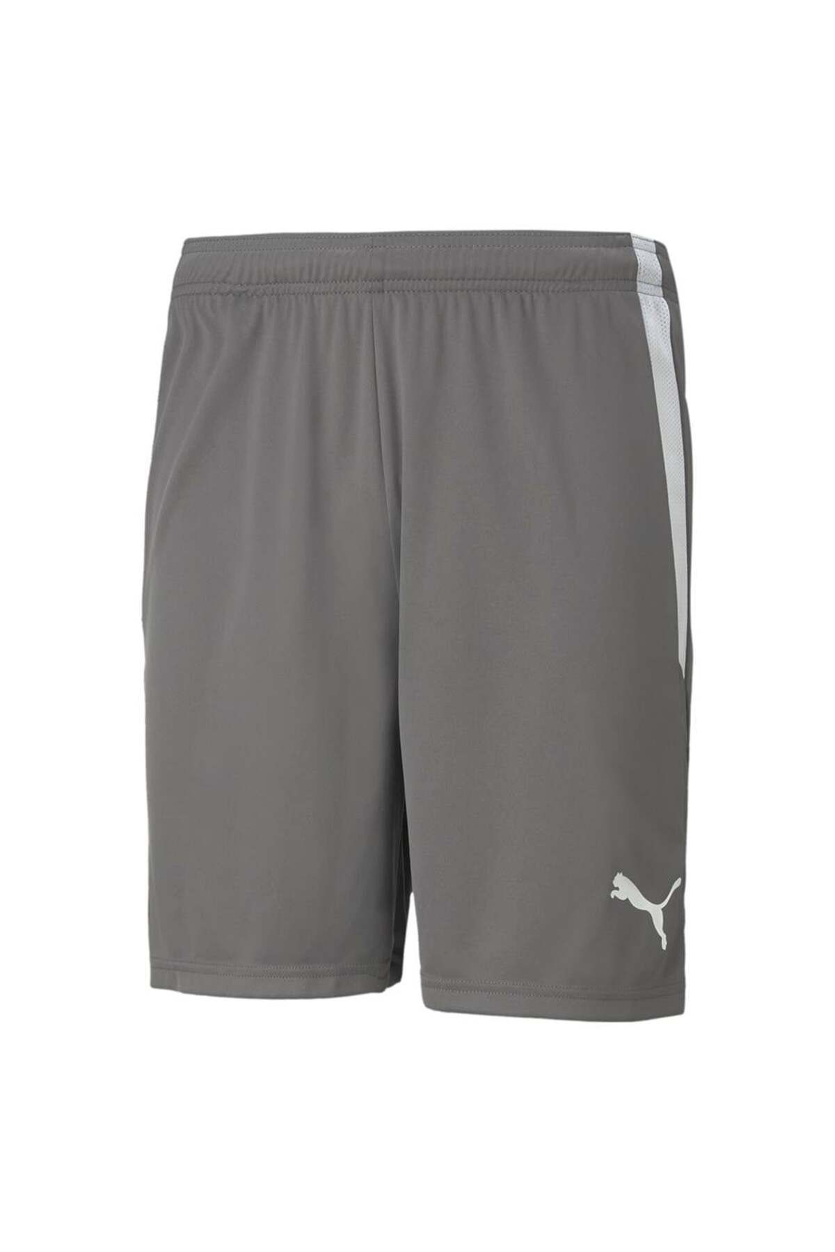 Puma TeamLiga Şort 704924-13