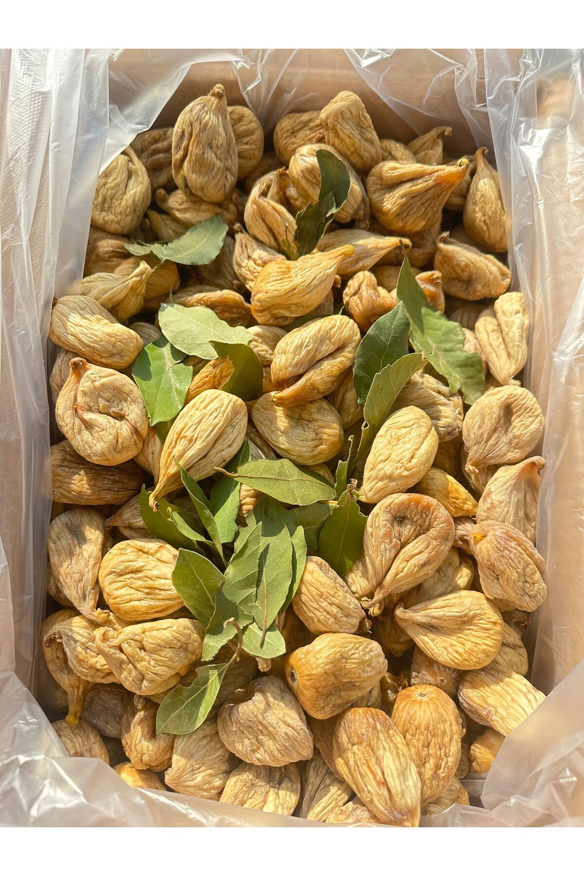 تصویر محصول