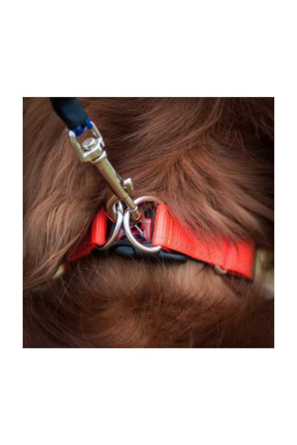 Ezydog Double Up Çift Halkalı Köpek Boyun Tasması Xlarge Çikolata