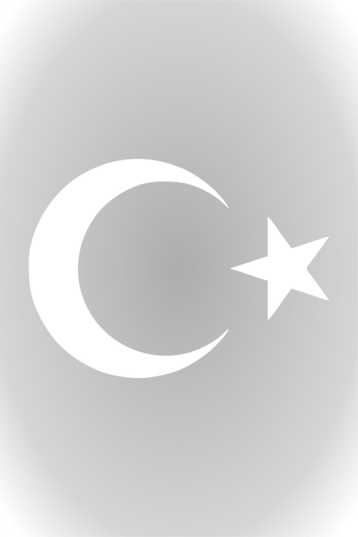 Quart Aksesuar Ay Yıldız Sticker Türk Bayrağı Sticker 10 X 7,5 Cm Beyaz