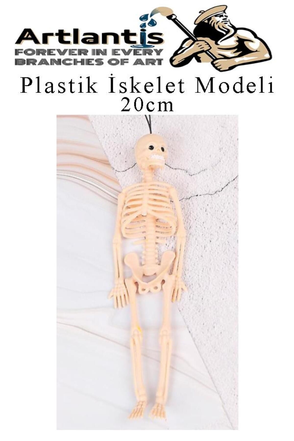 Artlantis Plastik İskelet Modeli 20 cm 1 Adet Plastik İnsan İsket Modeli Silikon İskelet Deneyi Araba Süsü
