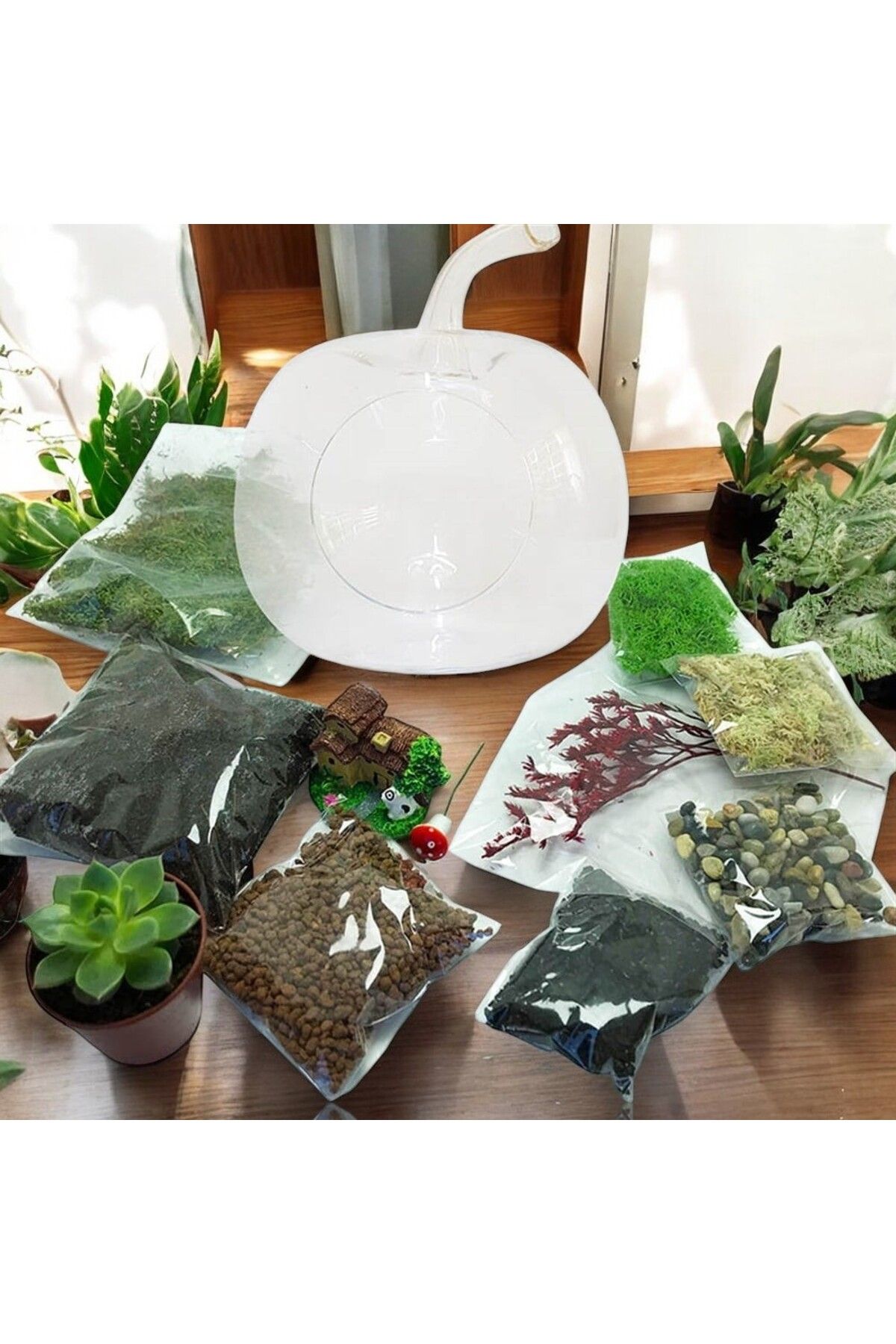 YoyoMoyo Teraryum Başlangıç Kiti Elma