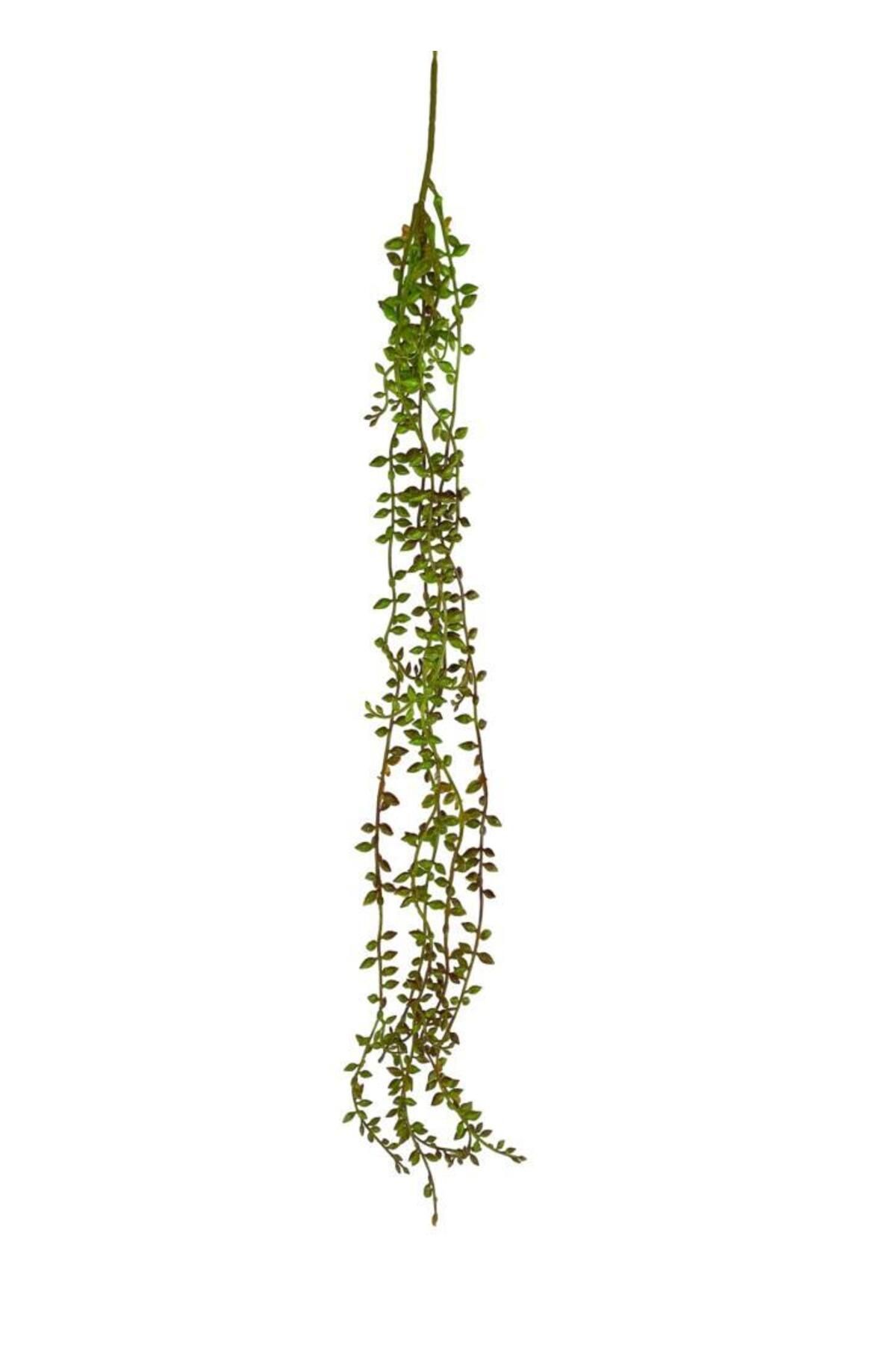 Nettenevime Yapay Çiçek Sarkan Kahverengi Detaylı String Okaliptus Skulent 70cm 5dal