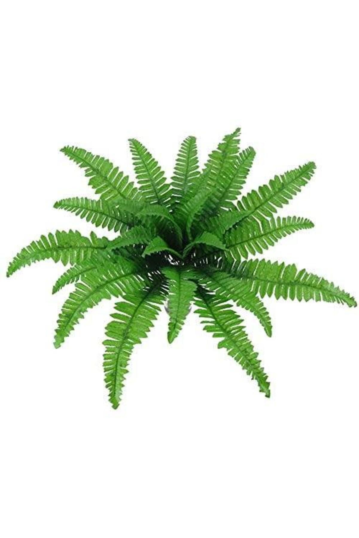 Nettenevime Yapay Çiçek Aşk Merdiveni Açık Yeşil Eğrelti Otu Bitkisi 24 Yaprak 55cm Yapay Bitki