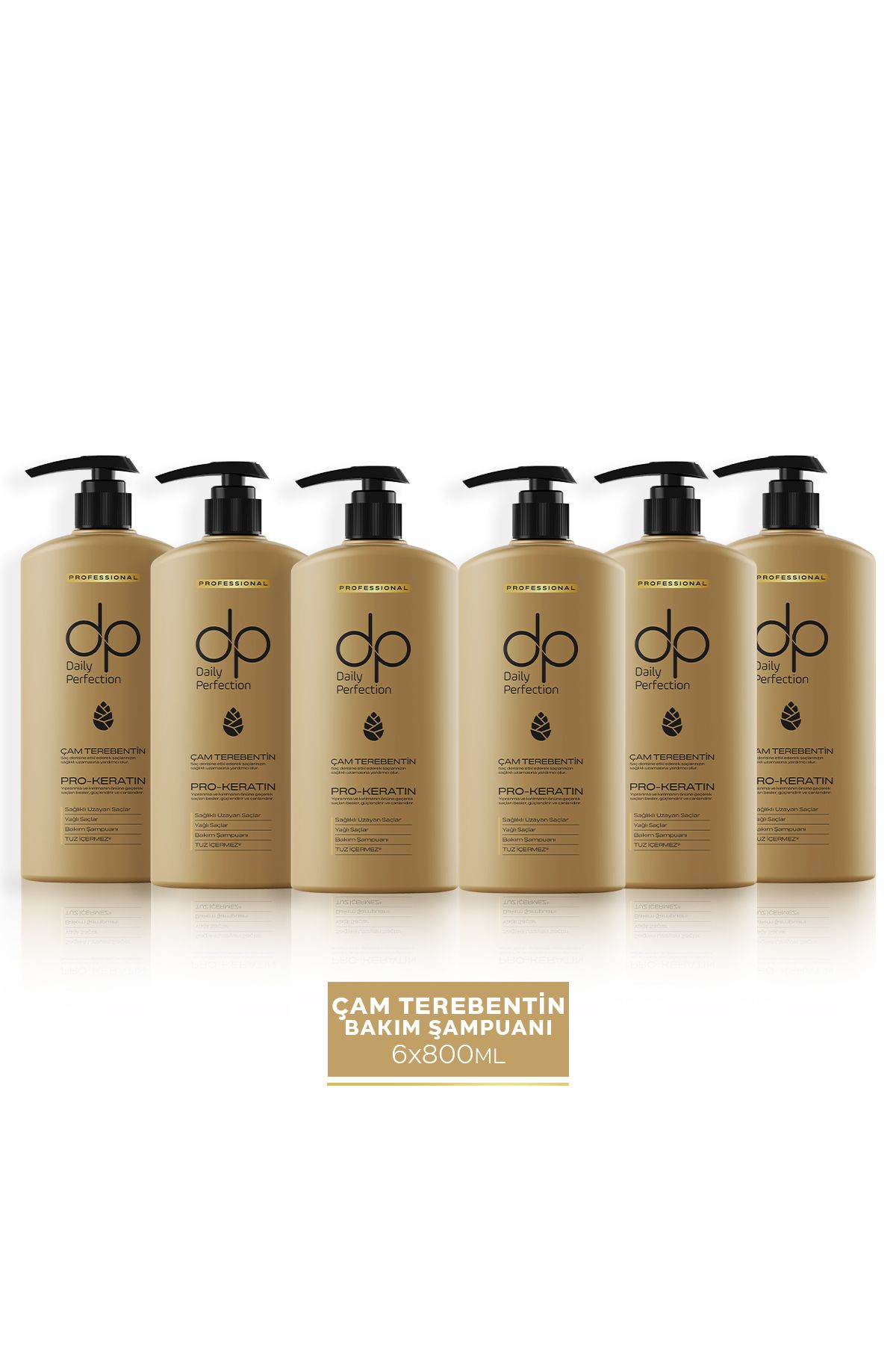 dp Daily Perfection Şampuan Çam Terebentin 800 ml X 6 Adet