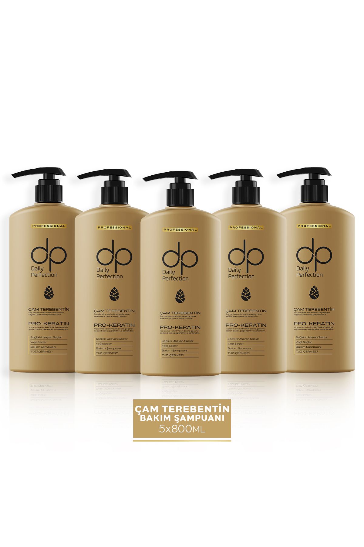 dp Daily Perfection Şampuan Çam Terebentin 800 ml X 5 Adet