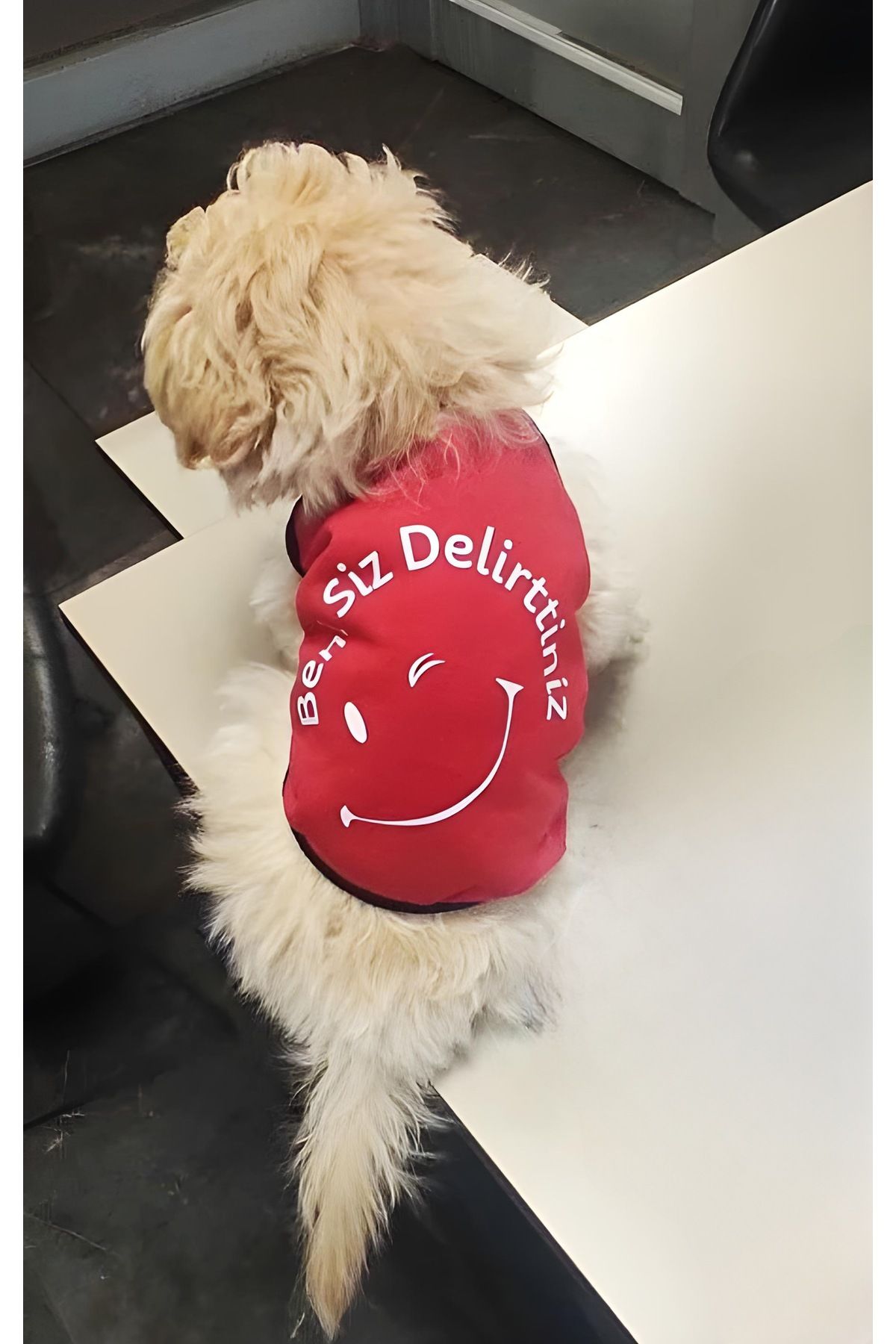 Monopetz Yeni Sezon Köpek Ve Kedi Kıyafeti - Kırmızı Beni Siz Delirttiniz