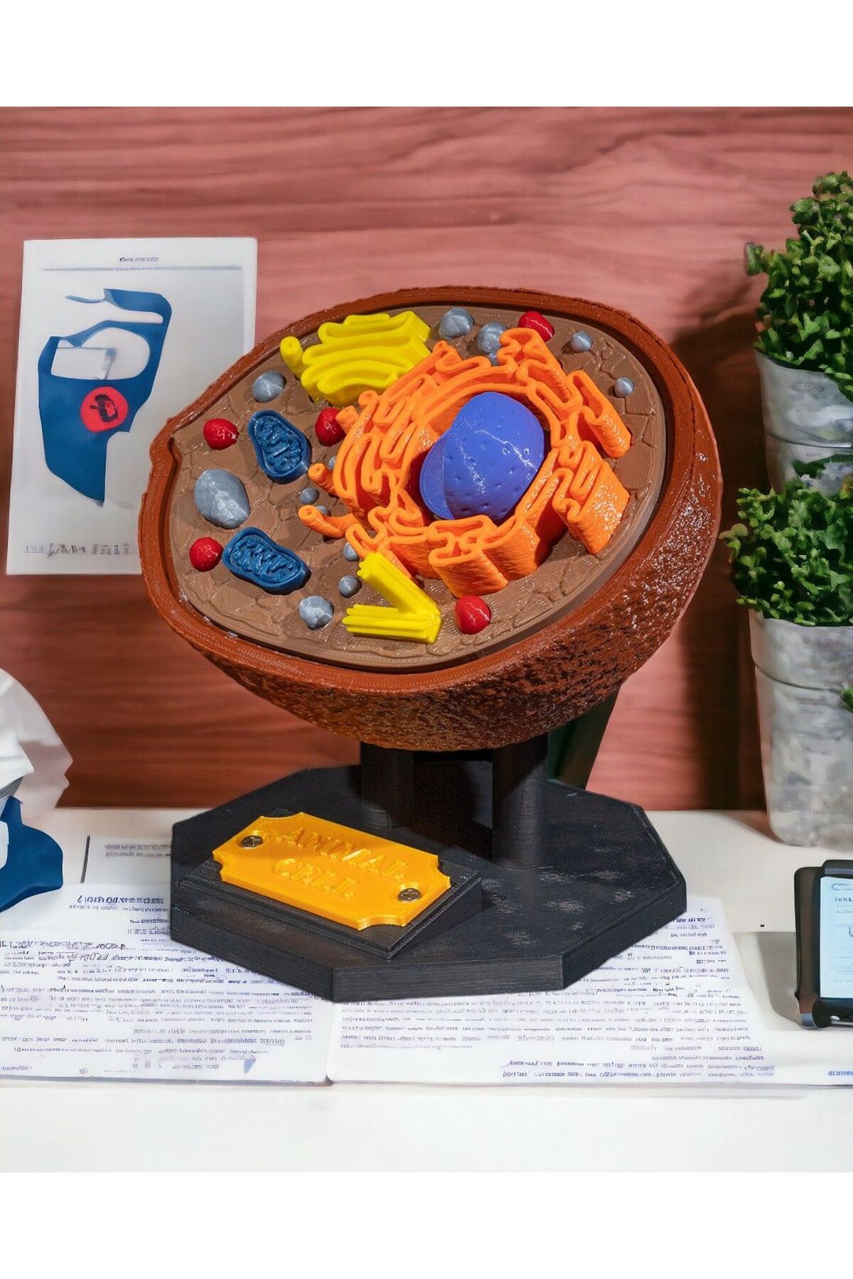 SELJUK 3D İMPROVER HAYVAN HÜCRESİ MAKETİ