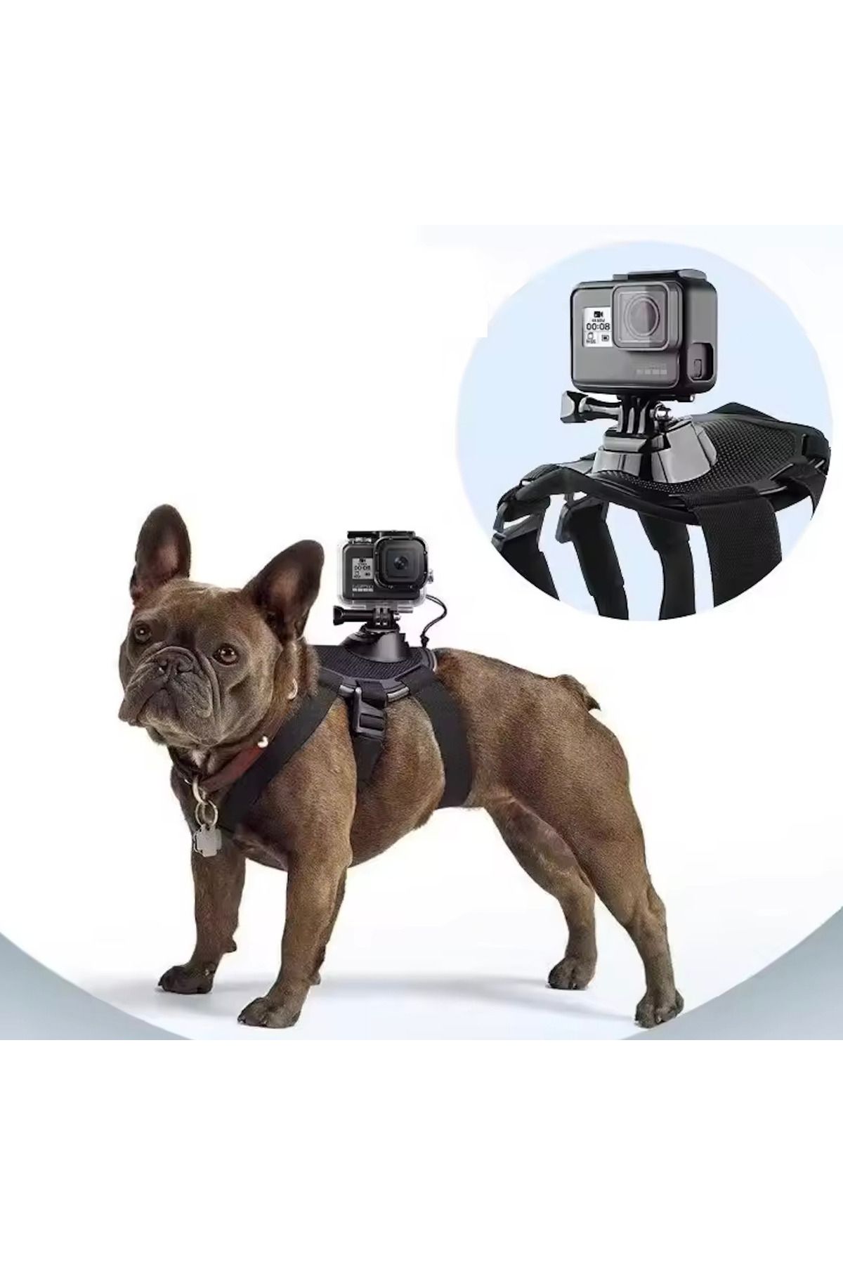 Insta360 / GOPRO Pet Mount