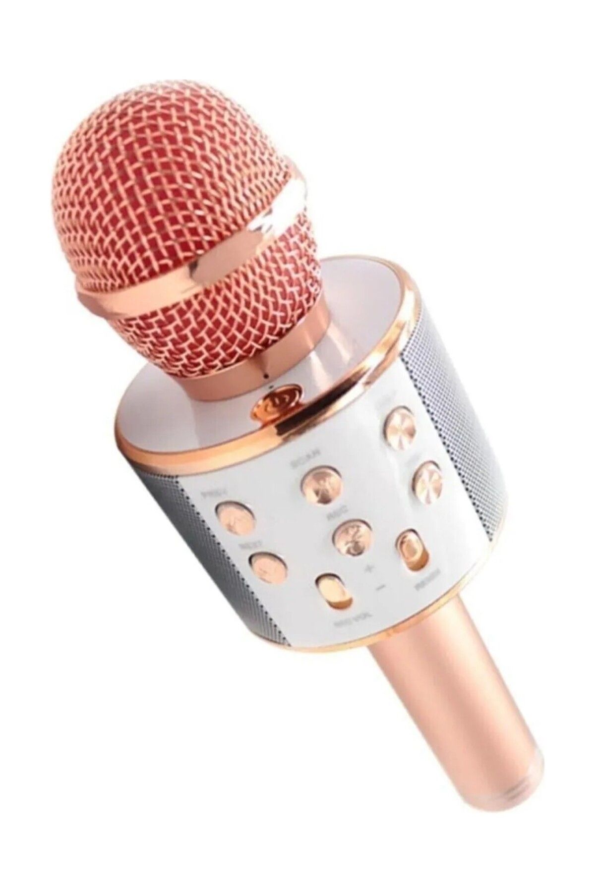 LİN GRUP Karaoke mikrofon kablosuz bluetooth