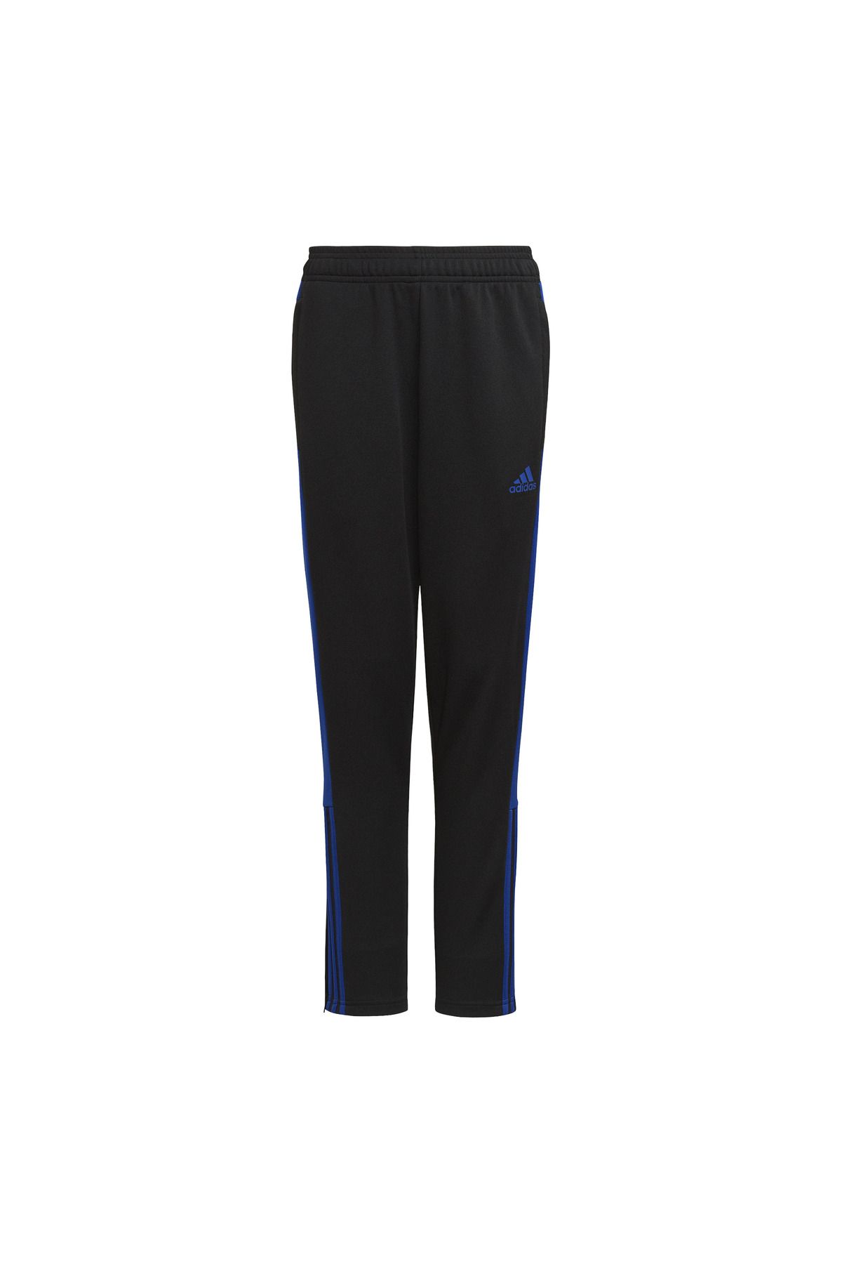 adidas TIRO TR PNT ESY     BLACK/ROYBLU