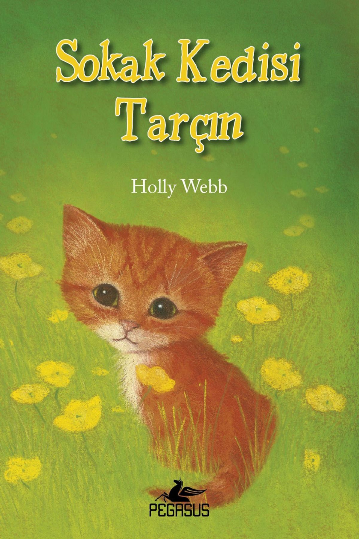 Pegasus Yayınları Sokak Kedisi Tarçın - Holly Webb