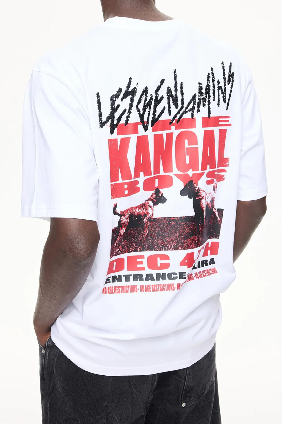 LES BENJAMINS RELAXED TEE 044