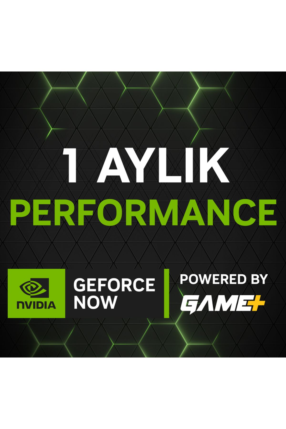 GeForce Gforce Now Game Plus Performance 1 Aylık