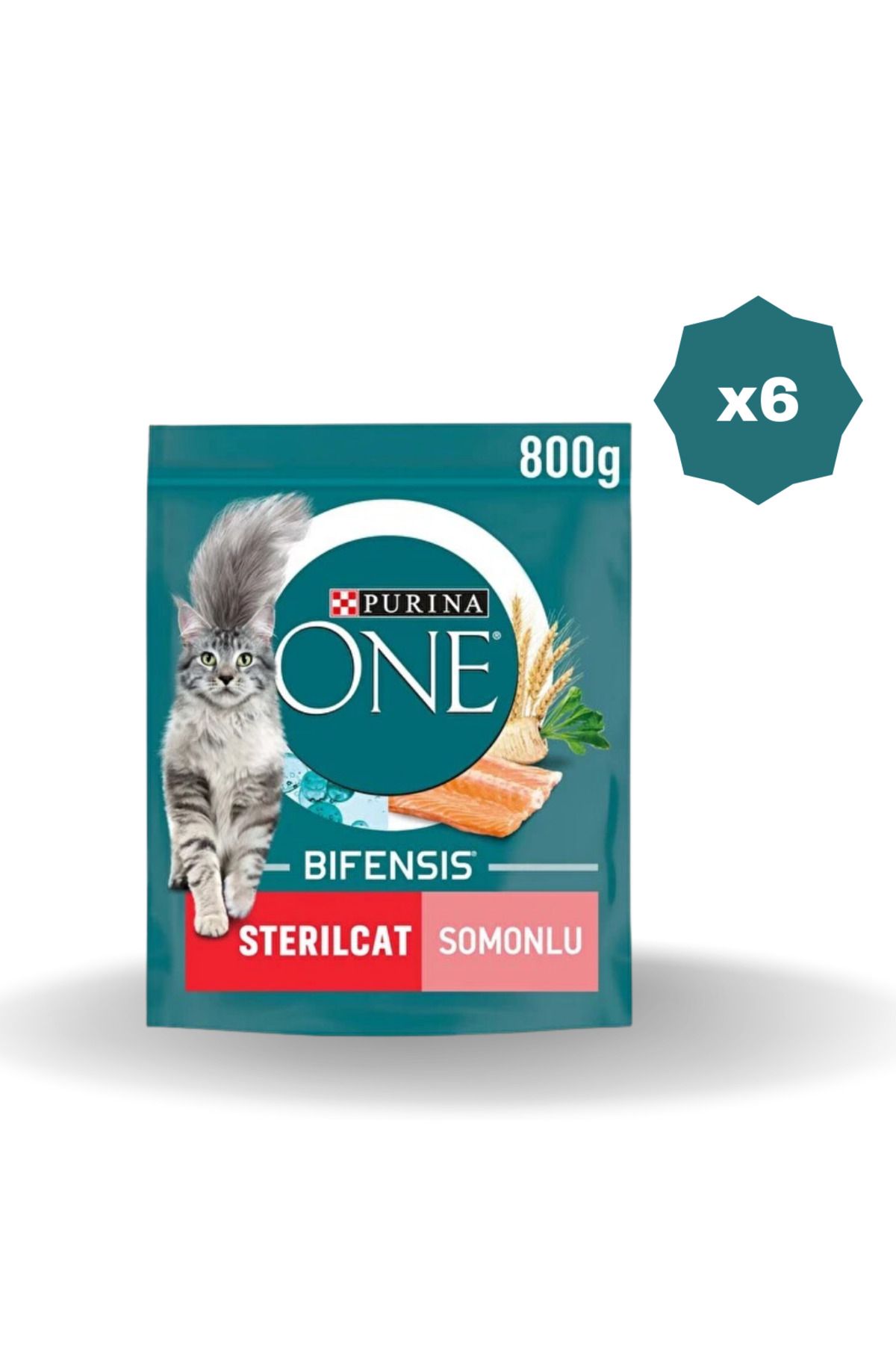 FELIX FELİX KEDİ MAMASI ONE KISIR SOMONLU 800 GR - (6 ADET)