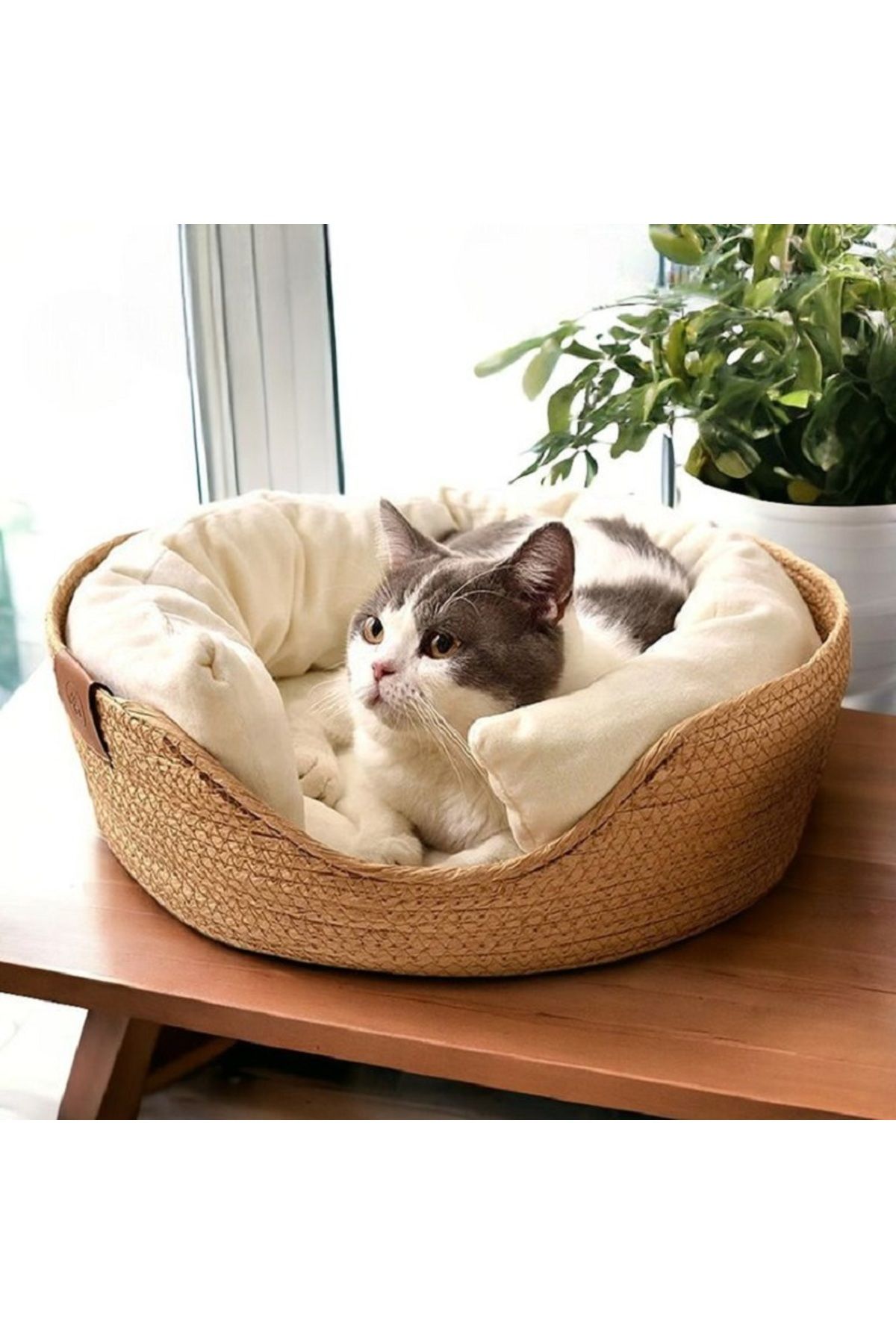 SEPETLESENE ONLİNE STORE kedi sepeti kedi evi kedi yatağı çok amaçlı hem tırmalama evi hem yatak