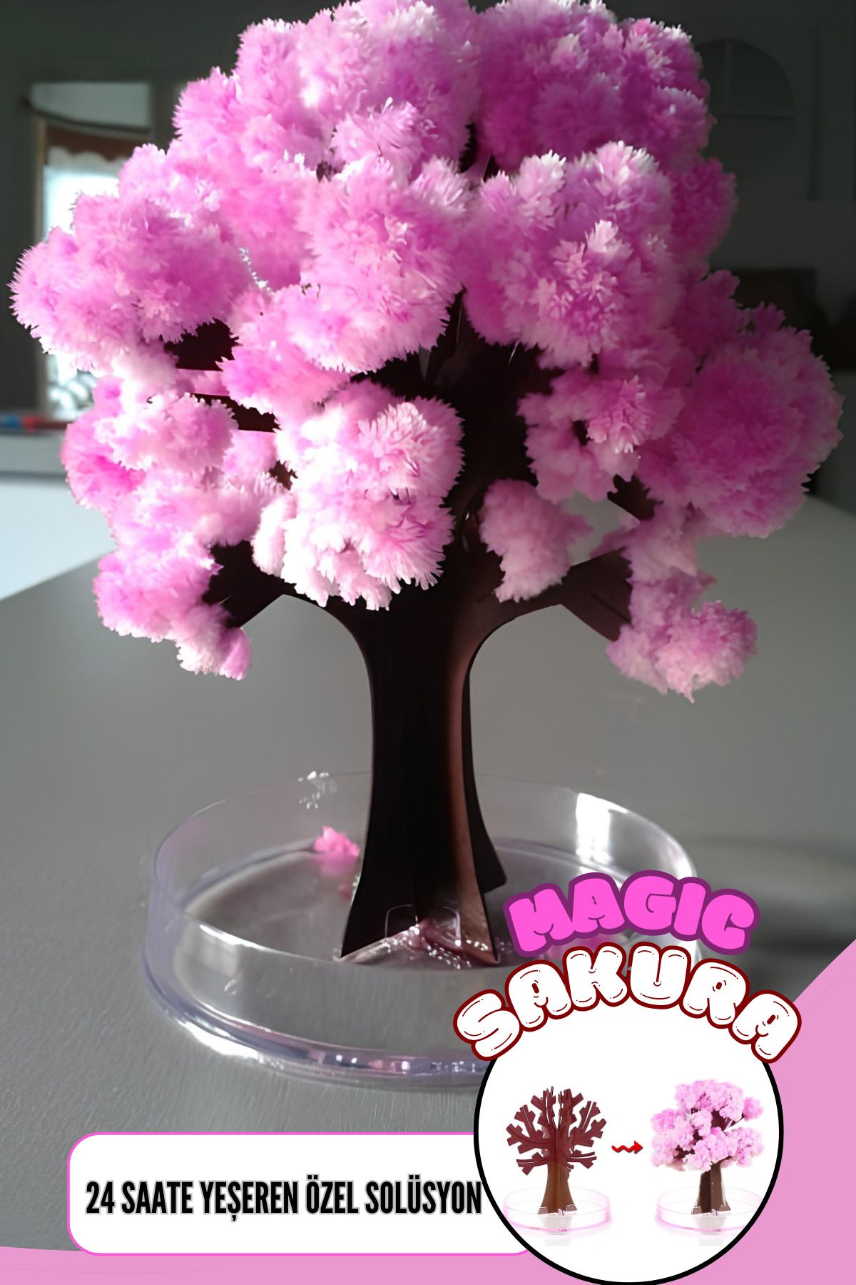 True Tree Sihirli Japon Sakura Ağacı - 24 Saatte Yeşeren Dekoratif Bitki Seti - Magic Tree Sakura