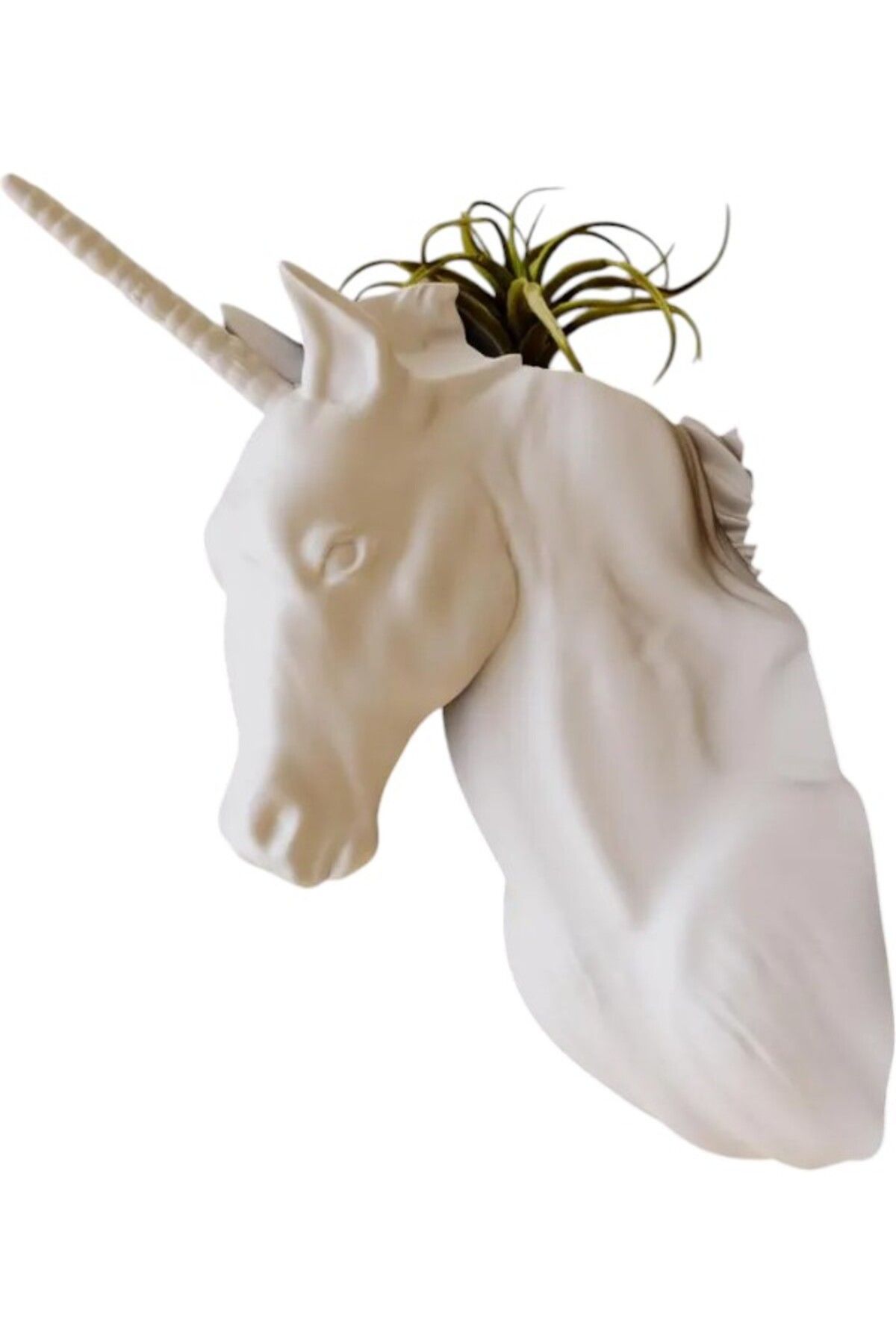 Home Unicorn Başlı Duvar Saksısı