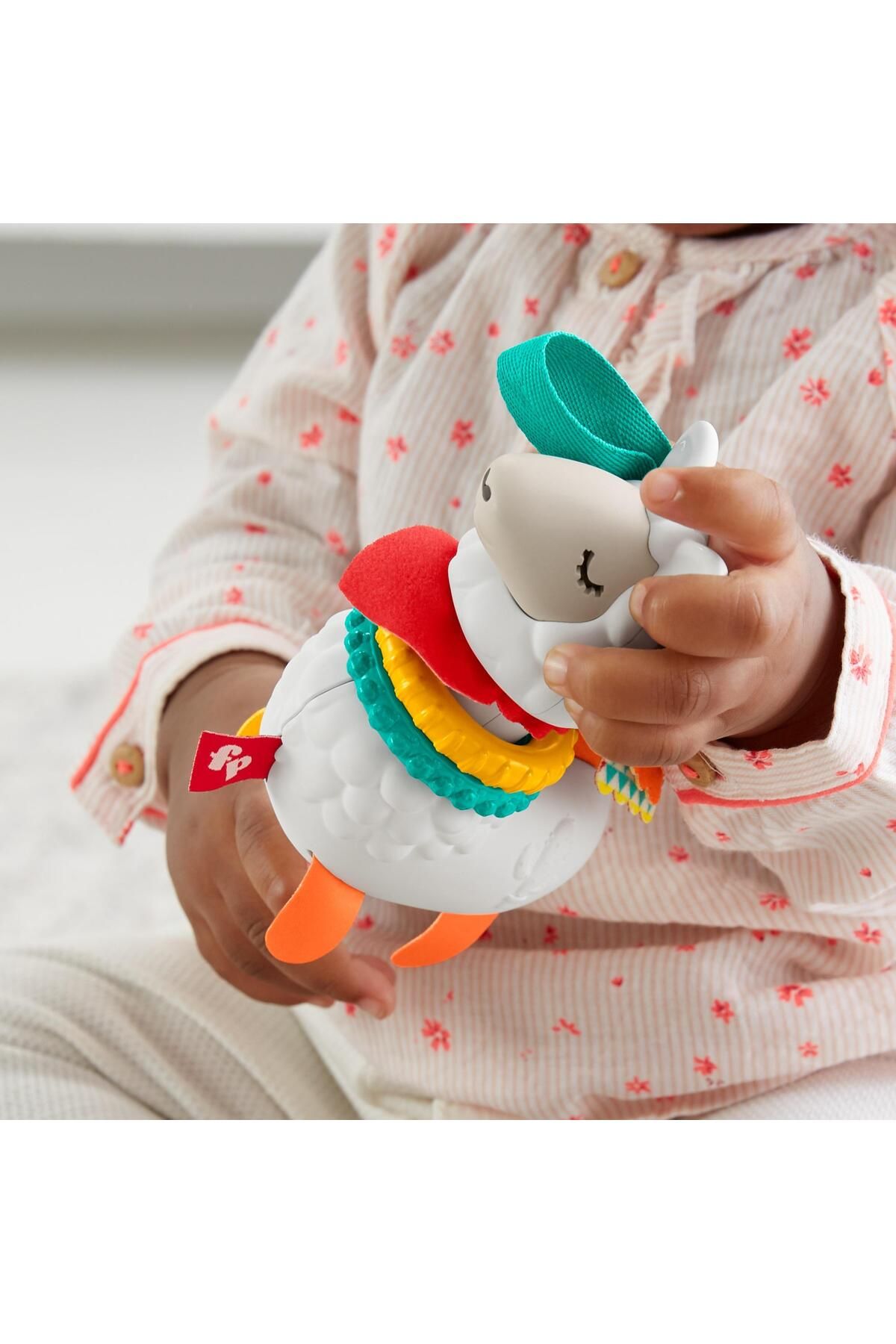 Fisher Price Eğlenceli Arkadaşlar Dişlik Ve Çıngıraklar Ghl23-fxc20