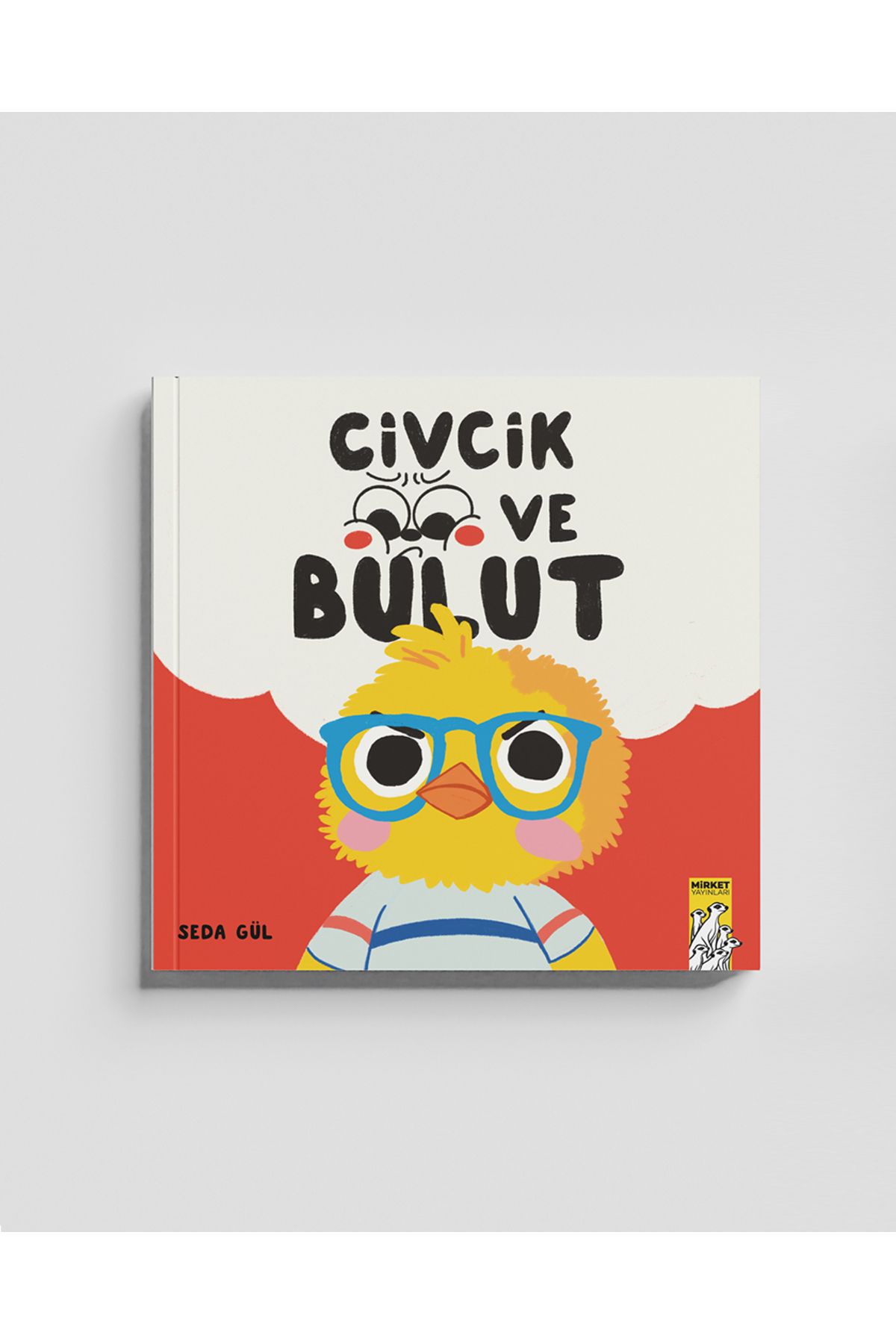 Mirket Yayınları CİVCİK VE BULUT