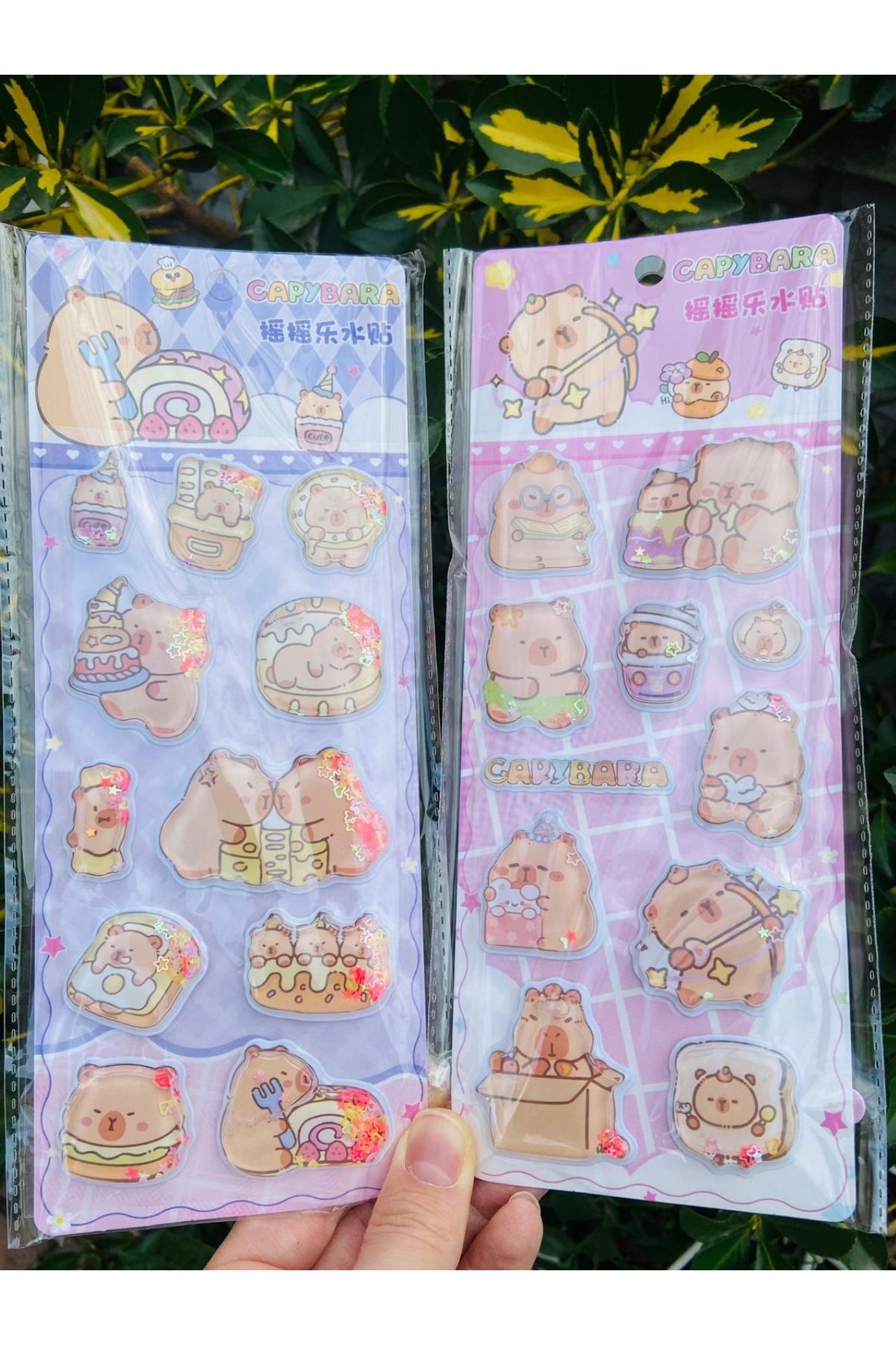 ÖZ OFİS Capybara 3D Sulu Sticker Seti 2'Li SET