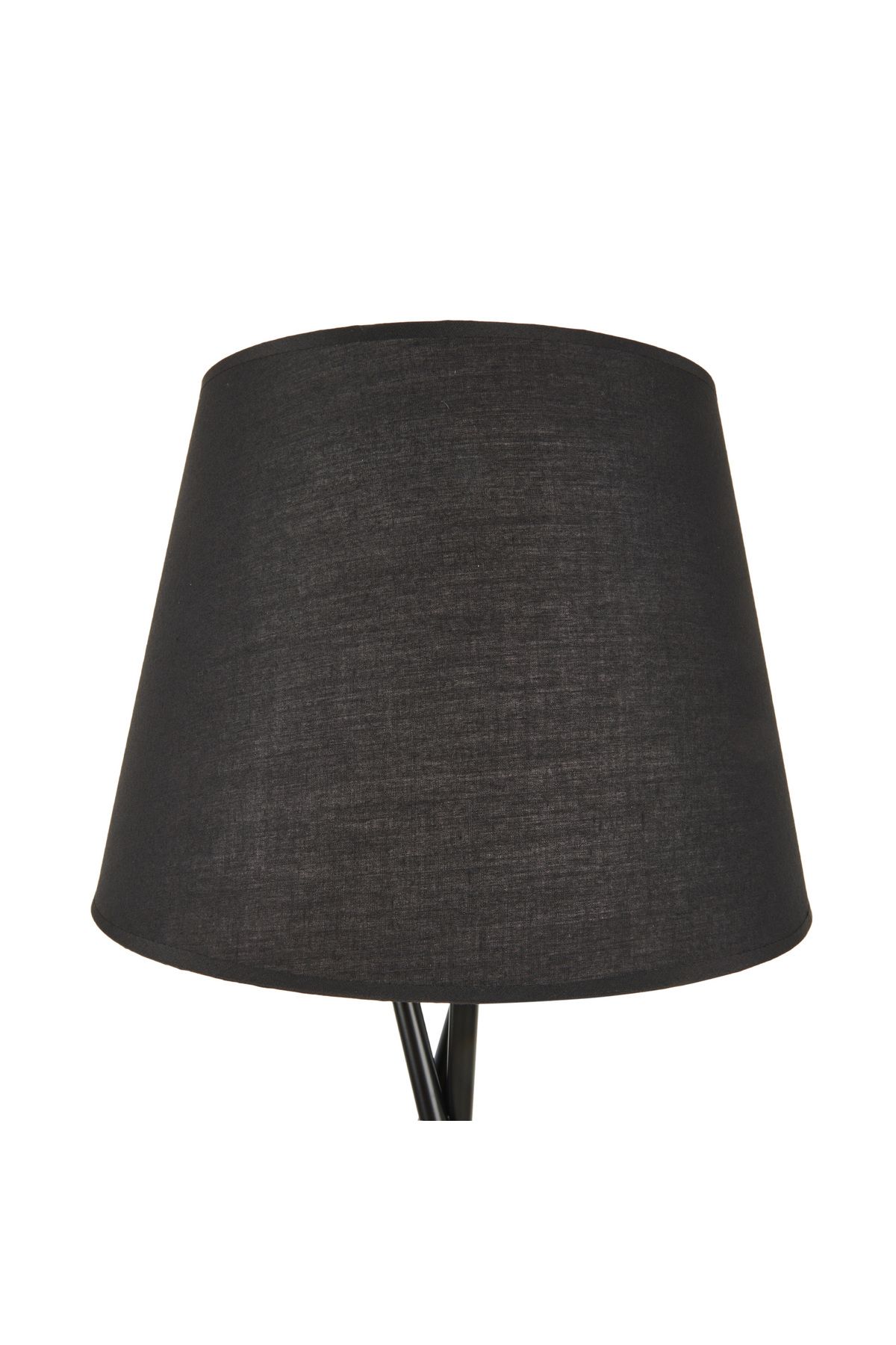 Evidea Lighting Beleg Lambader - Siyah / Altın - 148 cm