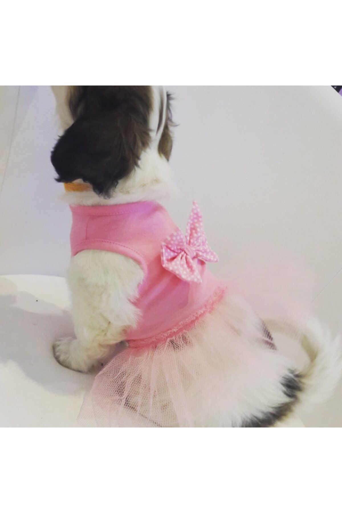 DOGİ&DOG Prenses Tütü Kedi Köpek Elbisesi Kedi Köpek Kiyafeti 1-10 kg