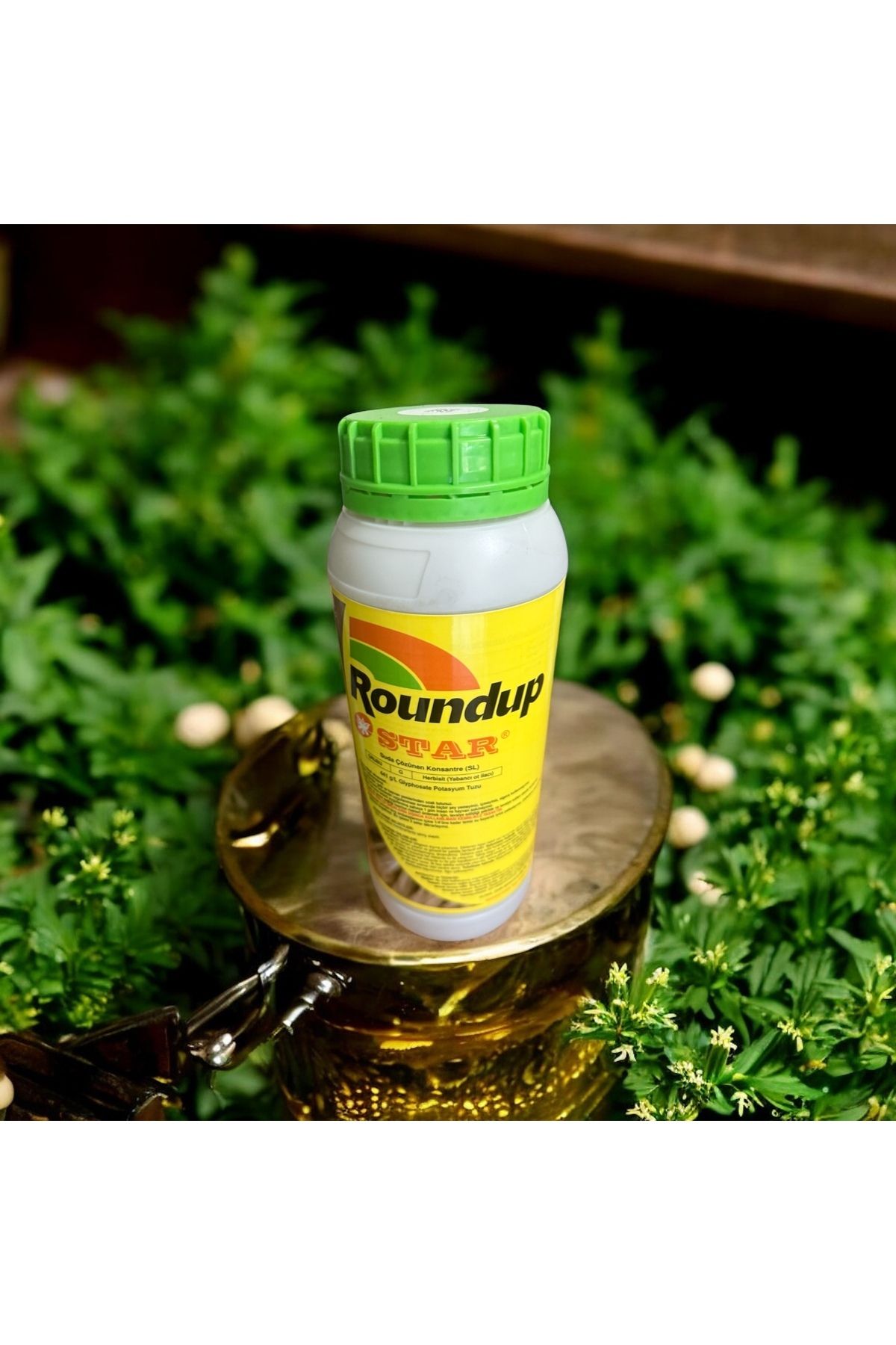 ROUNDUP STAR Yeşil kurutan ilaç Ağaç diken çalı yabancı & yabani ot kurutma ilacı Her bitkiyi kökten kurutur 1L