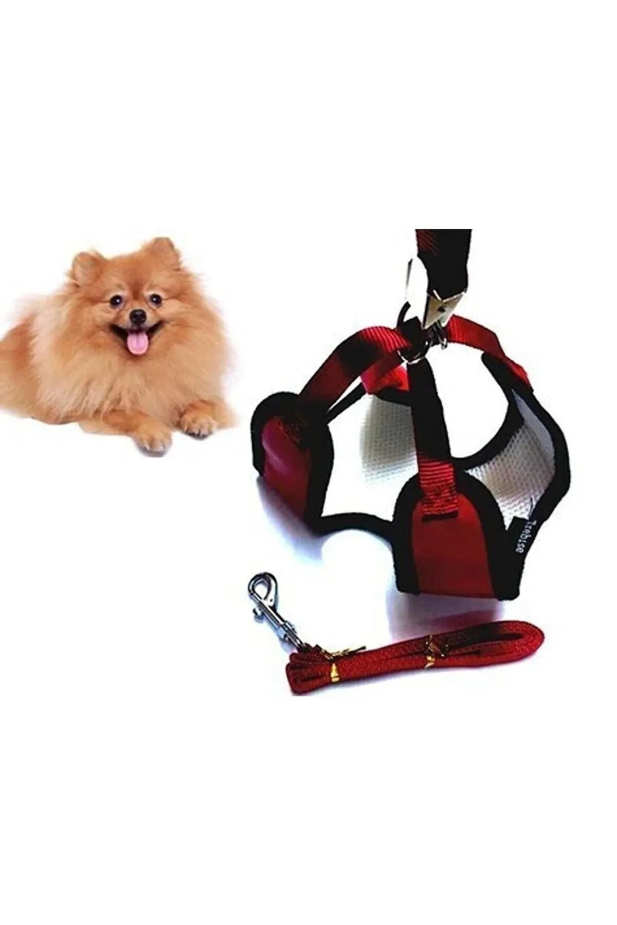petürkiye Yavru Köpek Gezdirme Seti