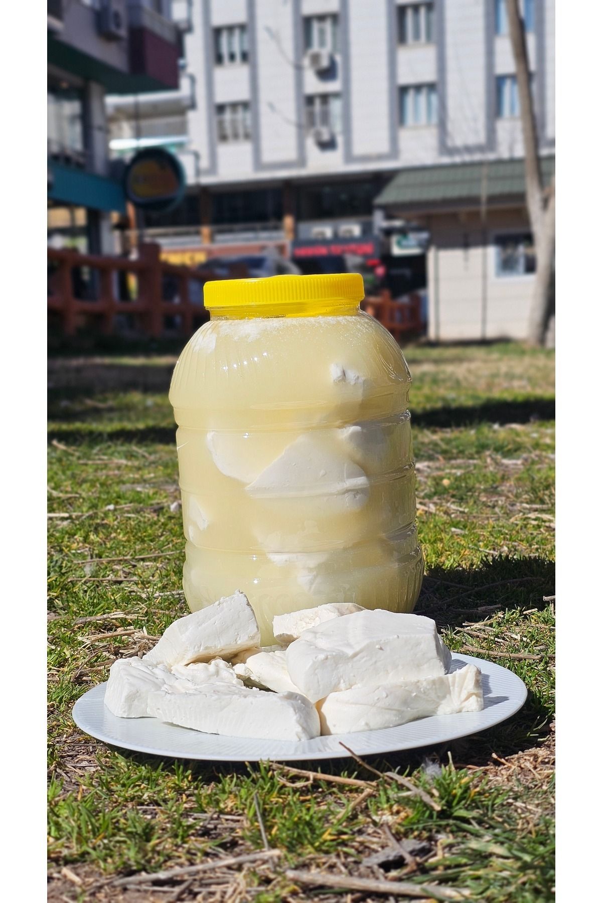karacadağ Salamura peynir diyarbakır net 2,5 kg