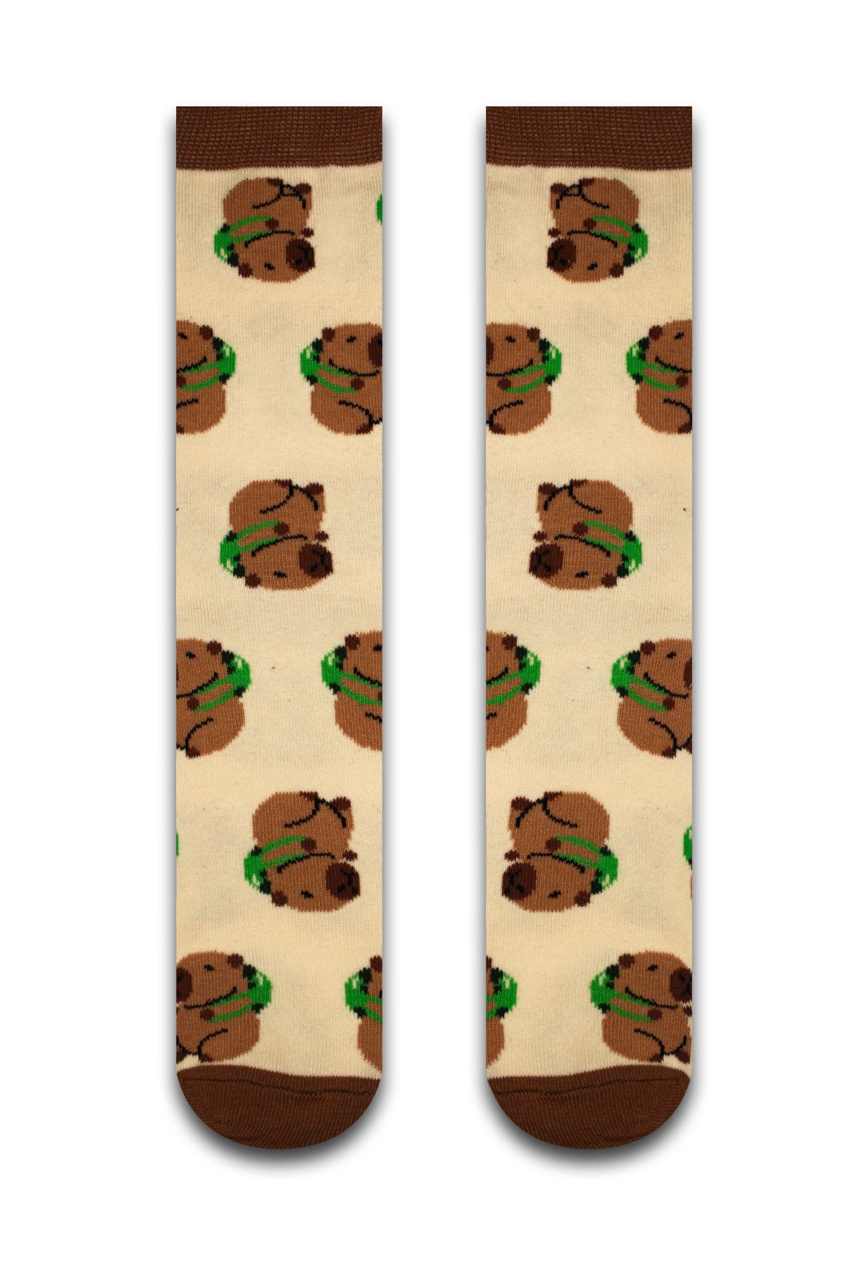 Neşeli Çoraplar Capybara Renkli Erkek Çorap