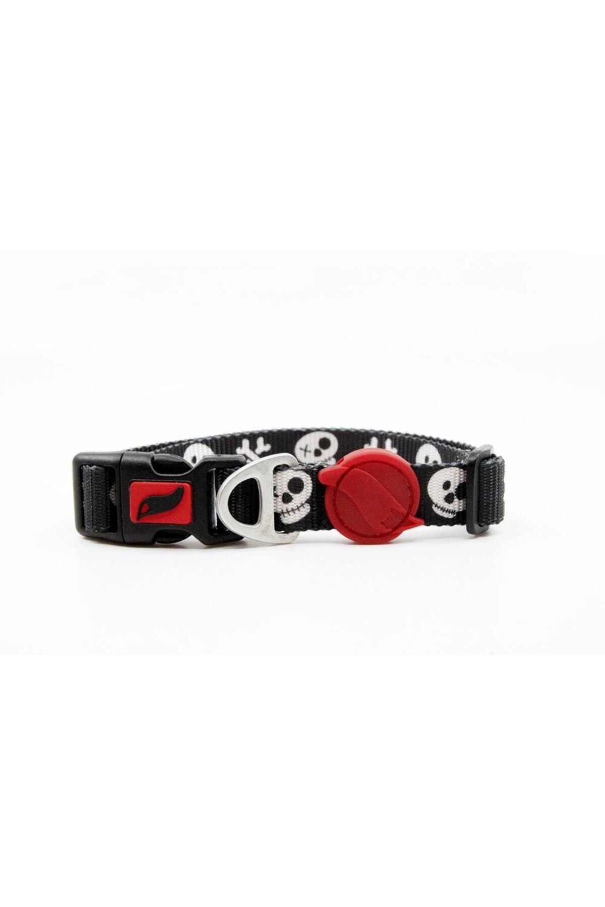 Tailpetz Köpek Boyun Tasması Boo S