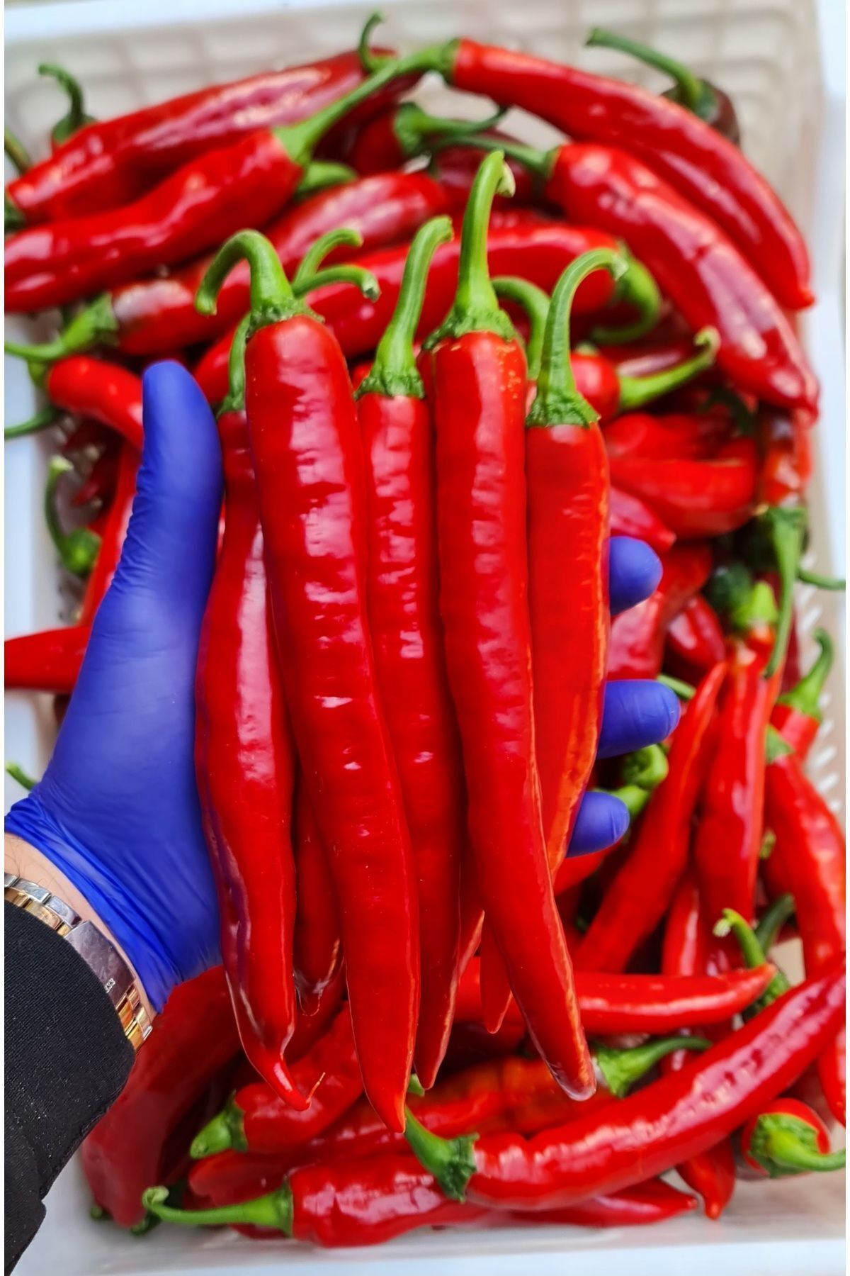 MERCANYORESEL %100 Doğal Hatay Samandağ Biberi Paketli 1 Kg