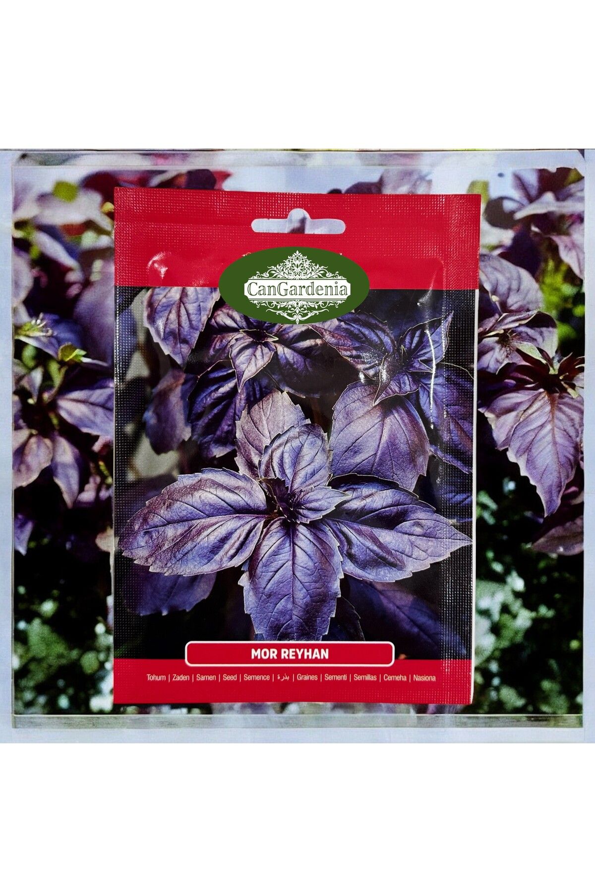 cangardenia 500 Adet Ata Tohumu Yerli Mor Fesleğen - Mor Reyhan (Ocimum basilicum purpurascens)