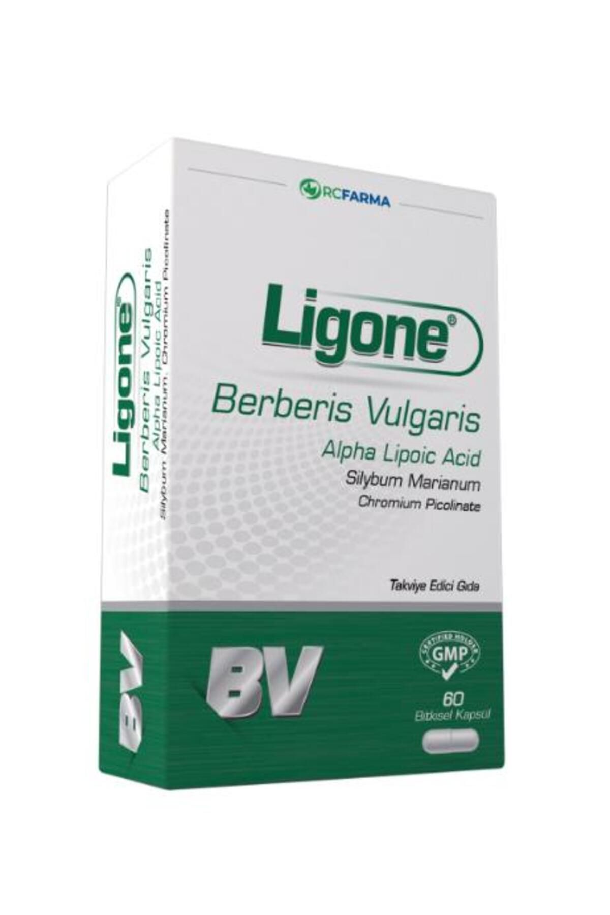 Rcfarma Ligone Berberis Vulgaris 60 Kapsül