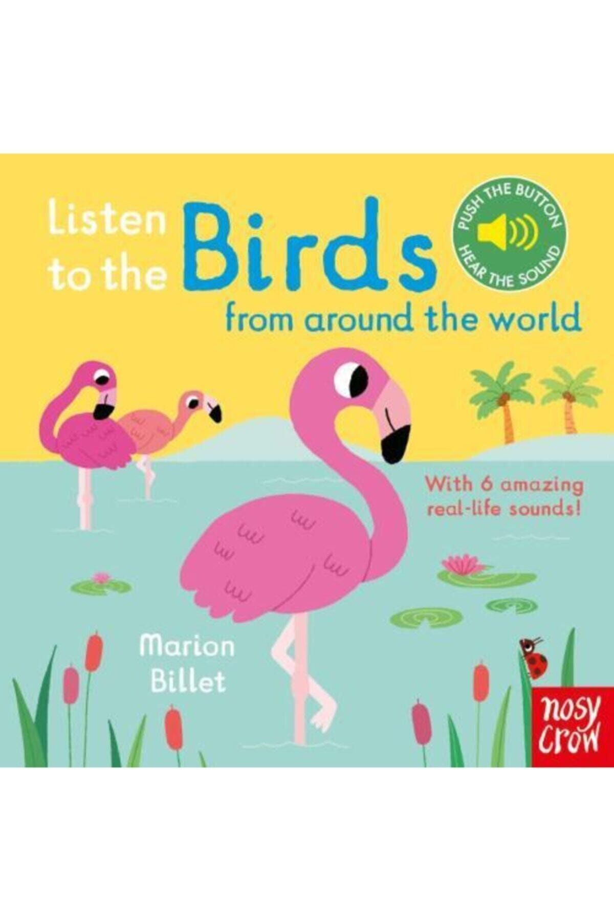 Nosy Crow Listen To The Birds Around World