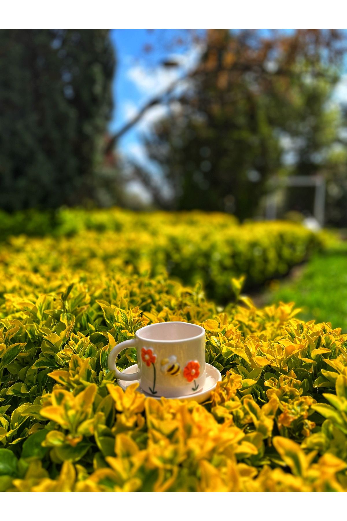 تصویر محصول