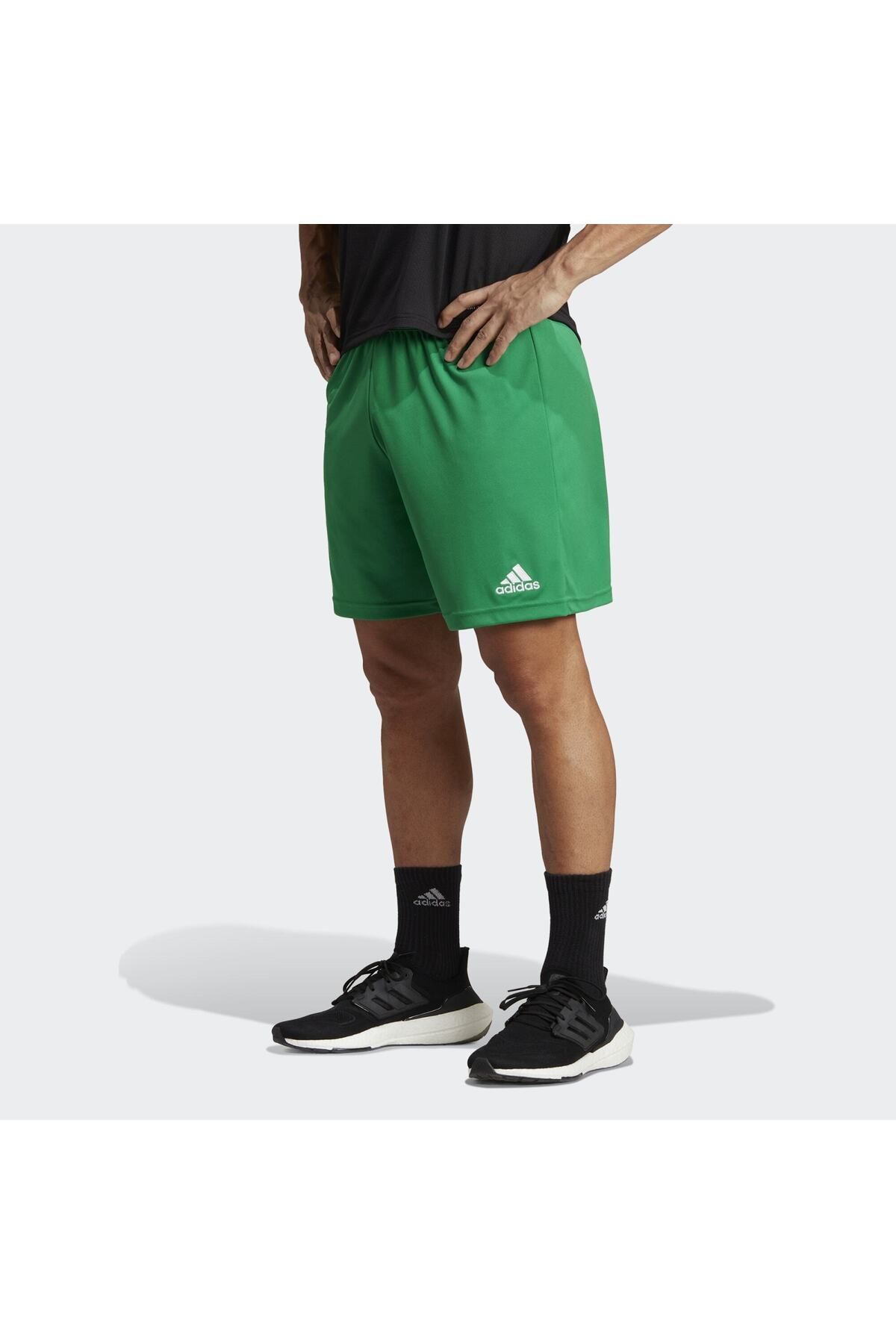 adidas Entrada 22 Şort