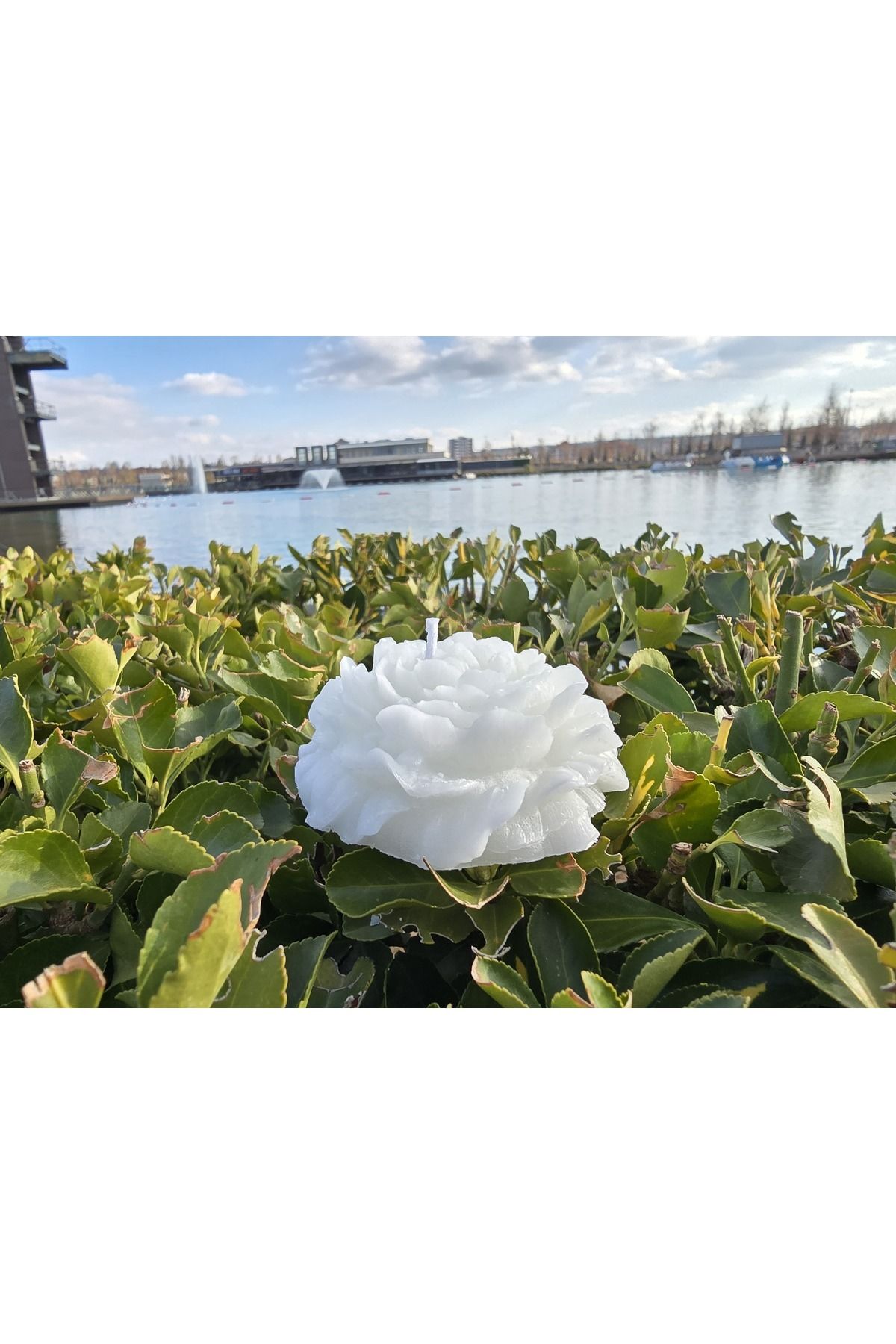 تصویر محصول