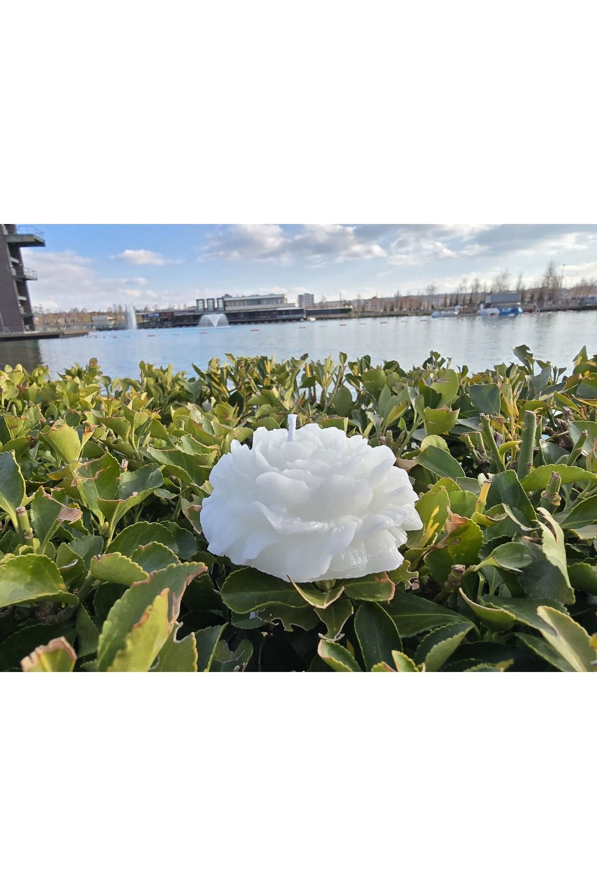 تصویر محصول