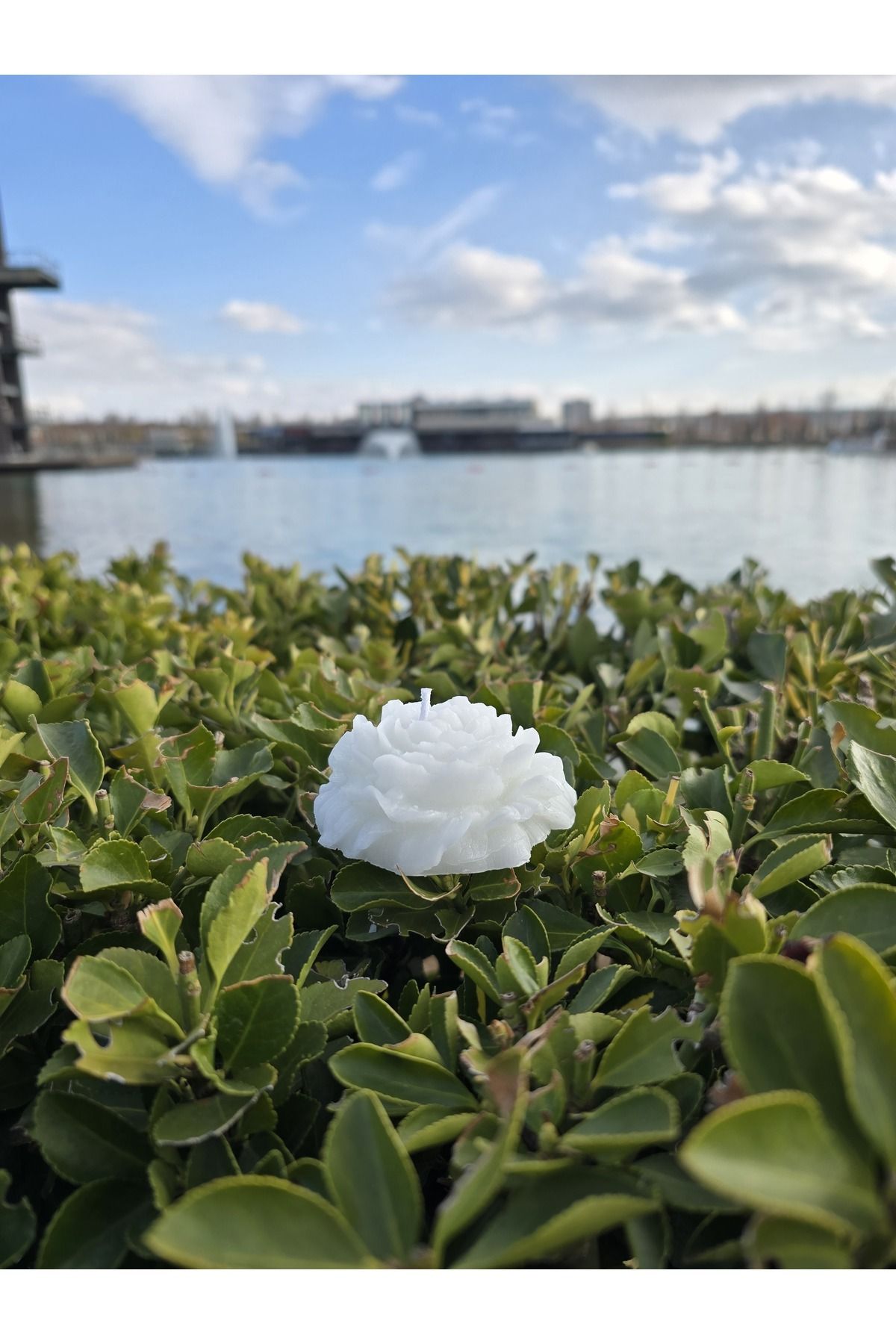 تصویر محصول
