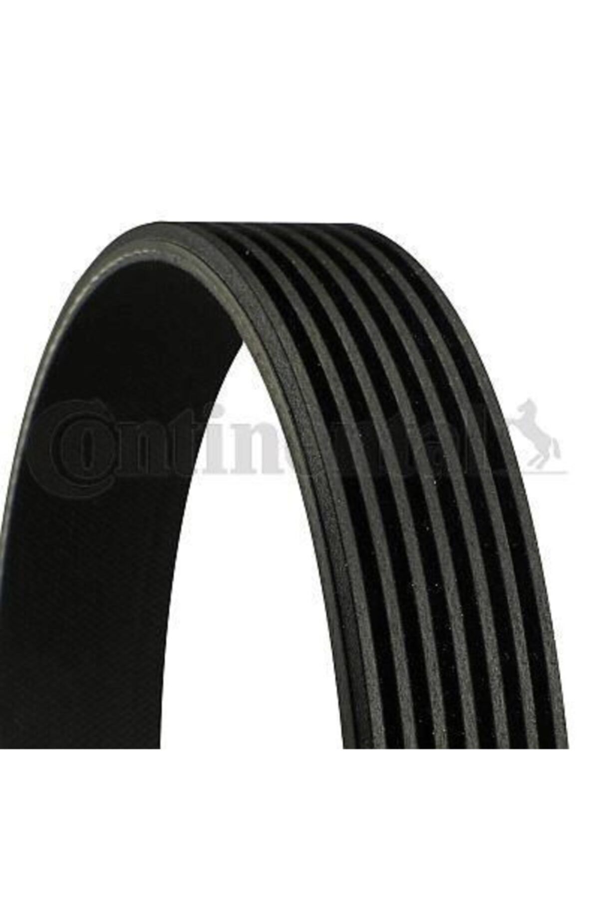 CONTİ Kanallı Kayıs Mercedes W203 W204 C216 W211 W212 W221 Chrysler 300 3.0crd Comender 3.0crd Cherokee Co