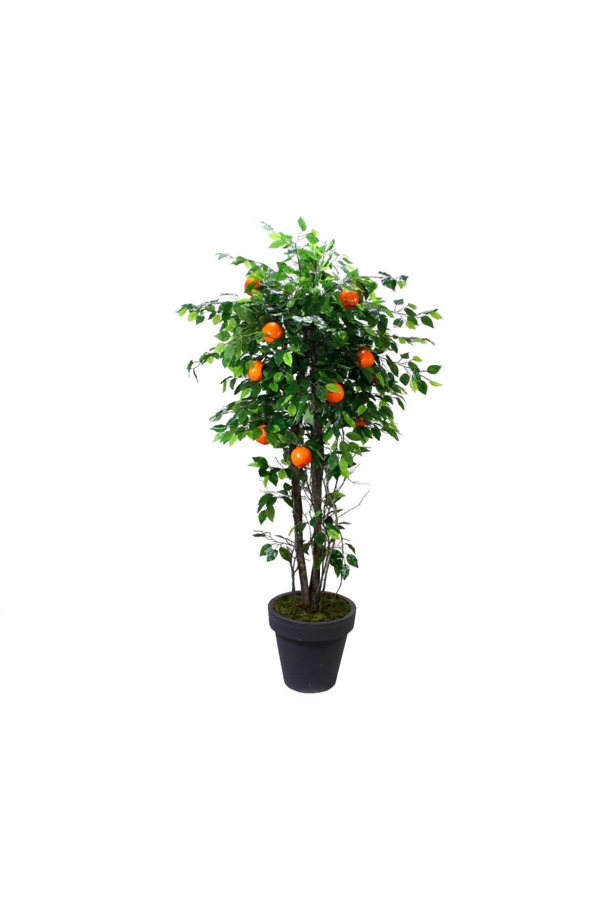 Gardenonya Dekoratif Yapay Portakal Ağacı 170 cm Yapay Ağaç