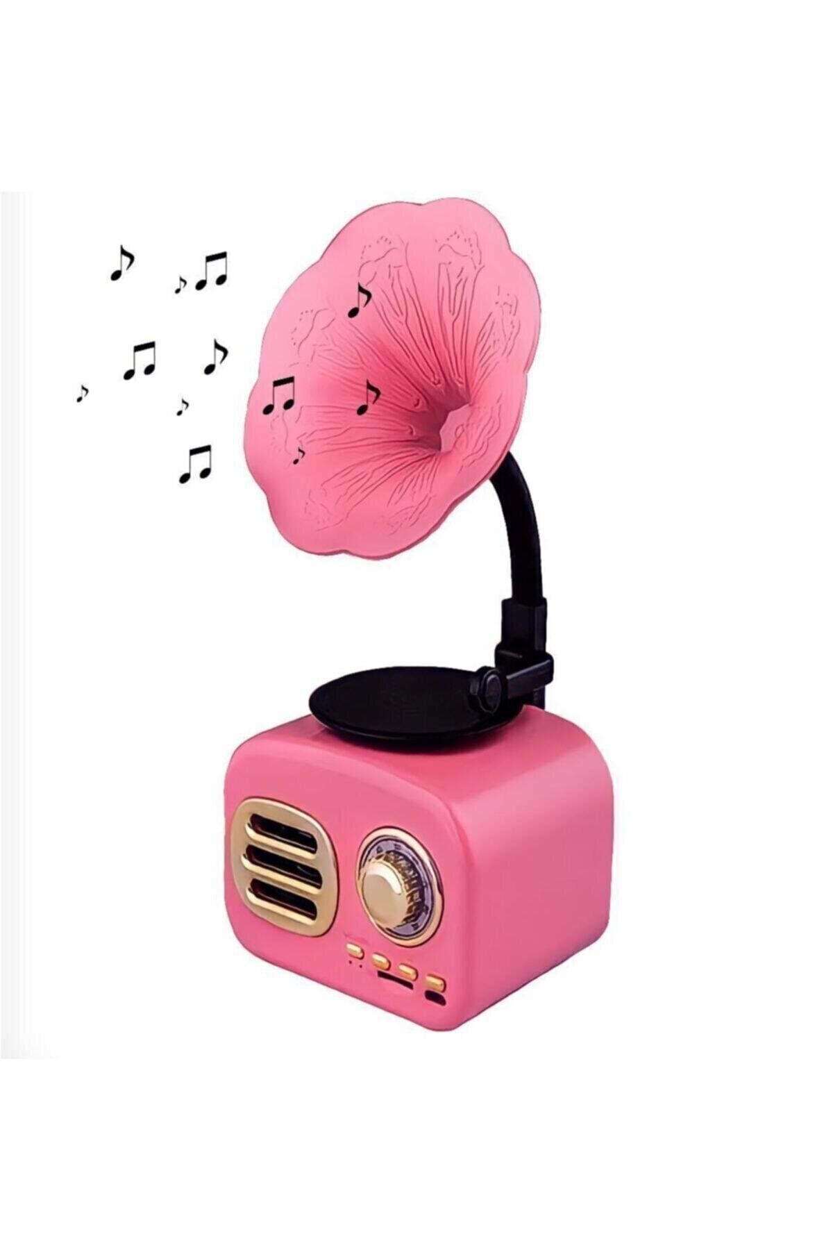 Dynego Pembe Nostaljik Mini Gramafon Radyo Usb Aux Bluetooth Radyo Yüksek Ses Kalitesi