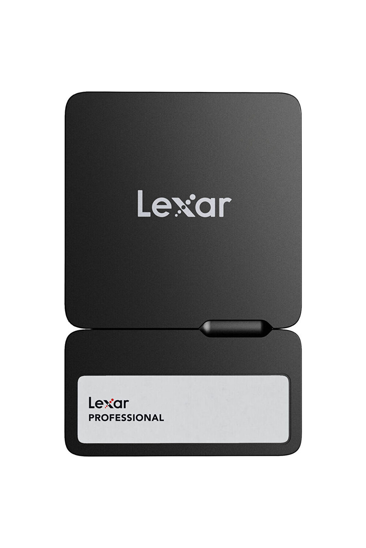 Professional Go 2TB 1050MB/sn Taşınabilir SSD Hub LSL400S002T-RNBNG